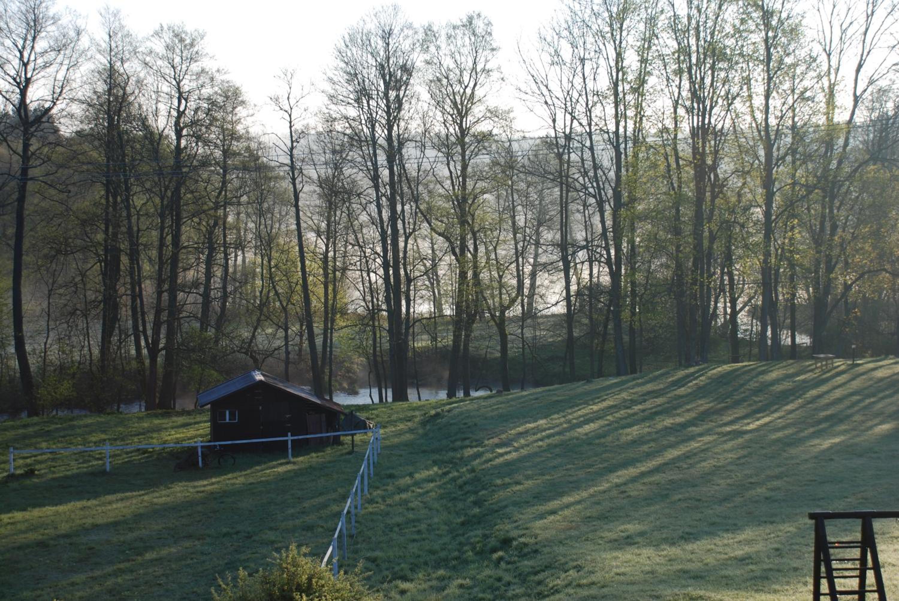 Photo 41