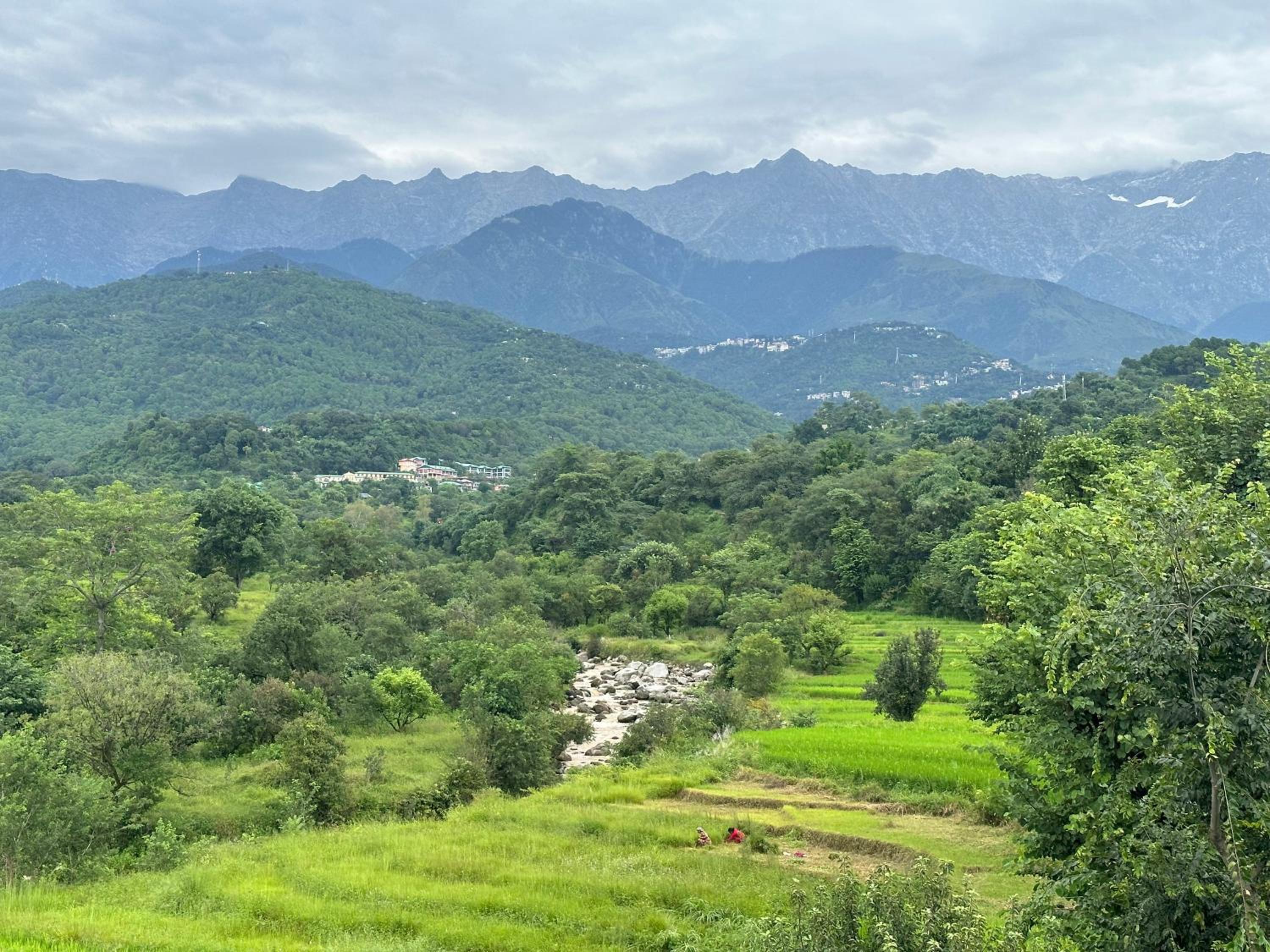 Dhauladhar Homes