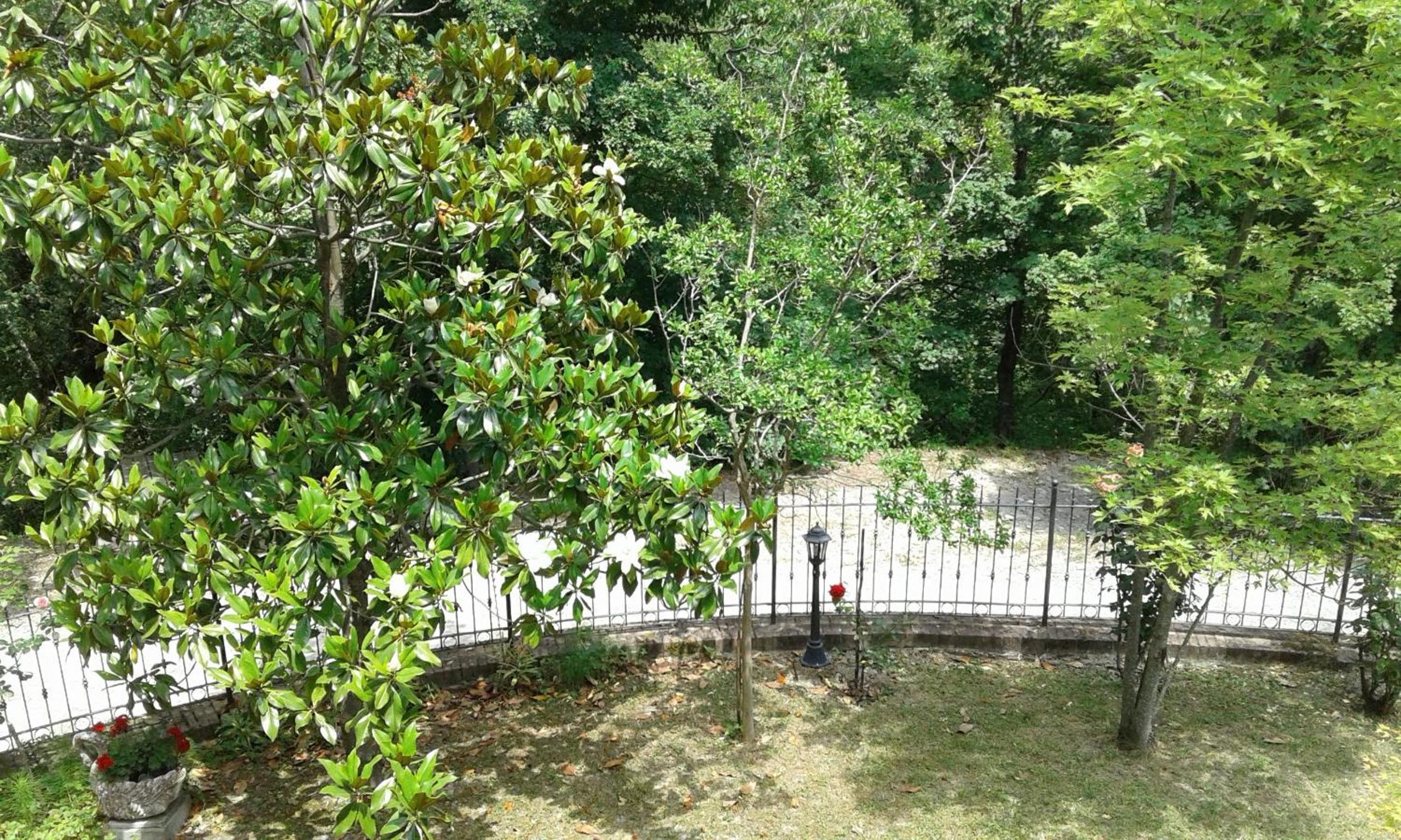 Photo 17
