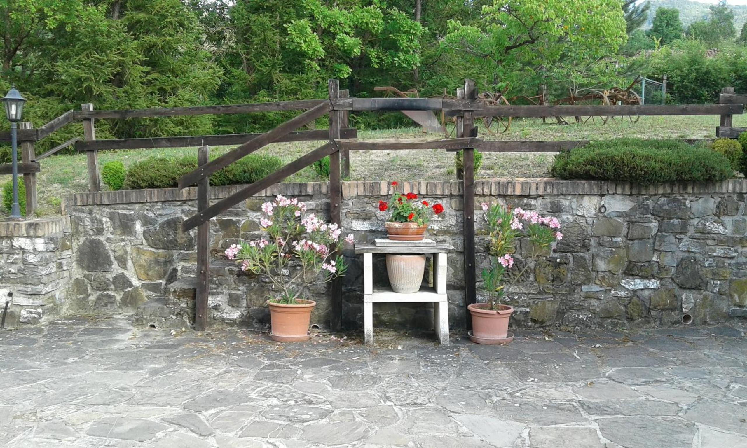 Photo 45