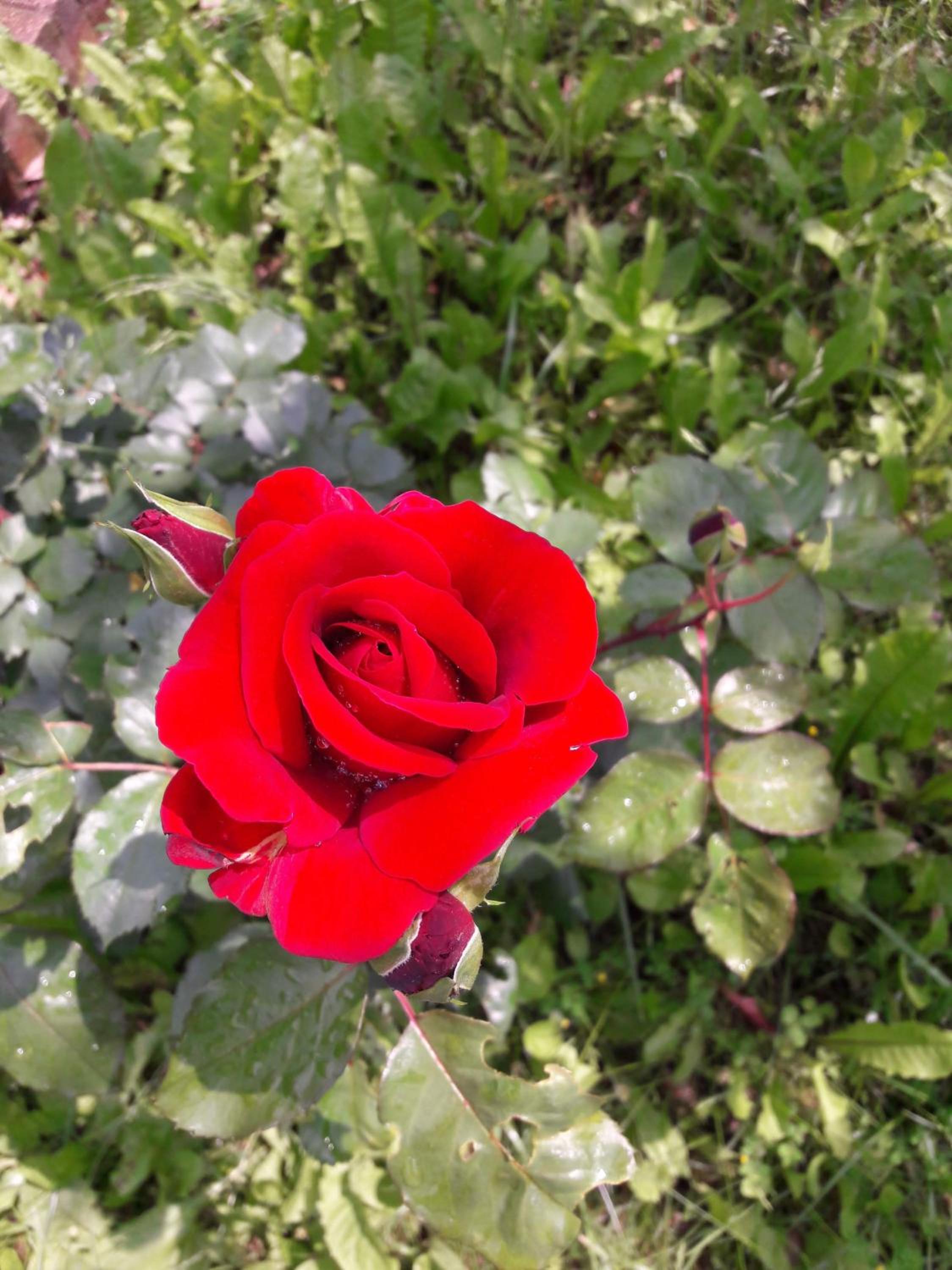 Photo 71