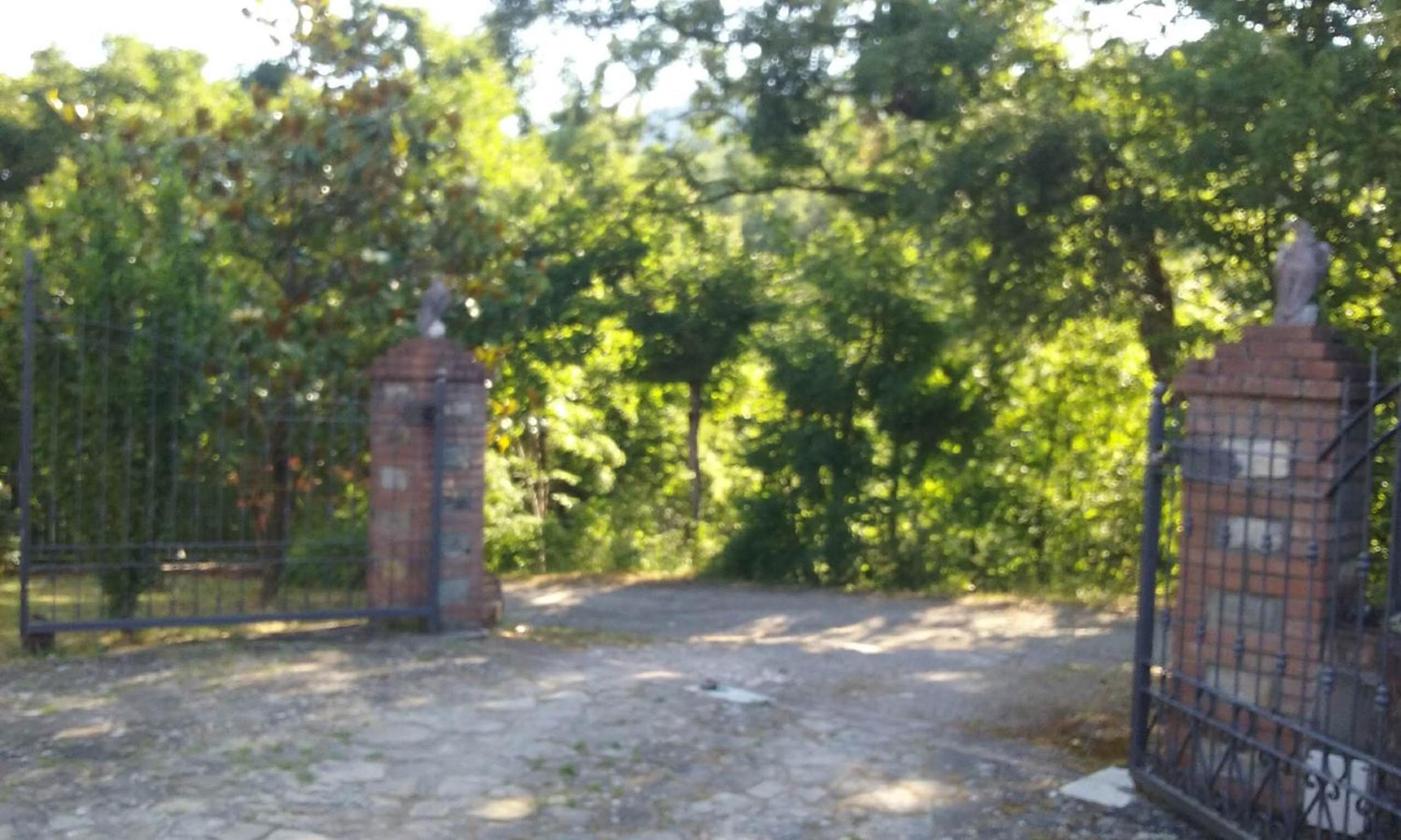 Photo 41