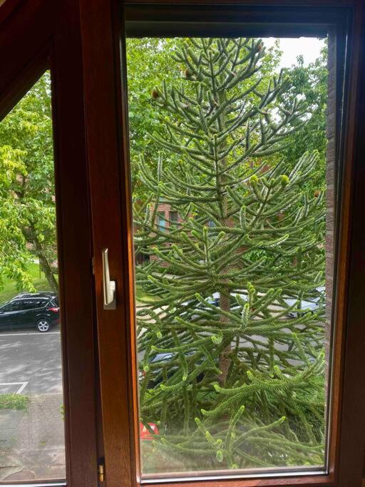 Gartenblick-Oase: Obergeschosswohnung in Hamburg
