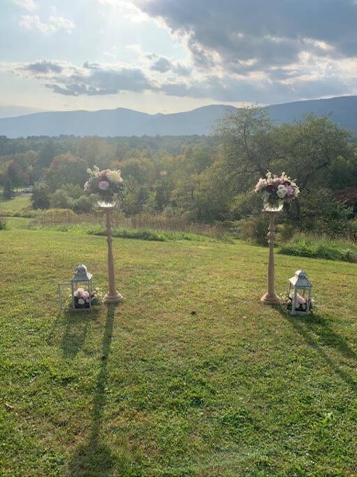 Daydream Mountain Art Chateau