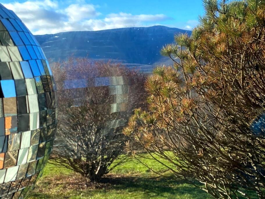 Daydream Mountain Art Chateau