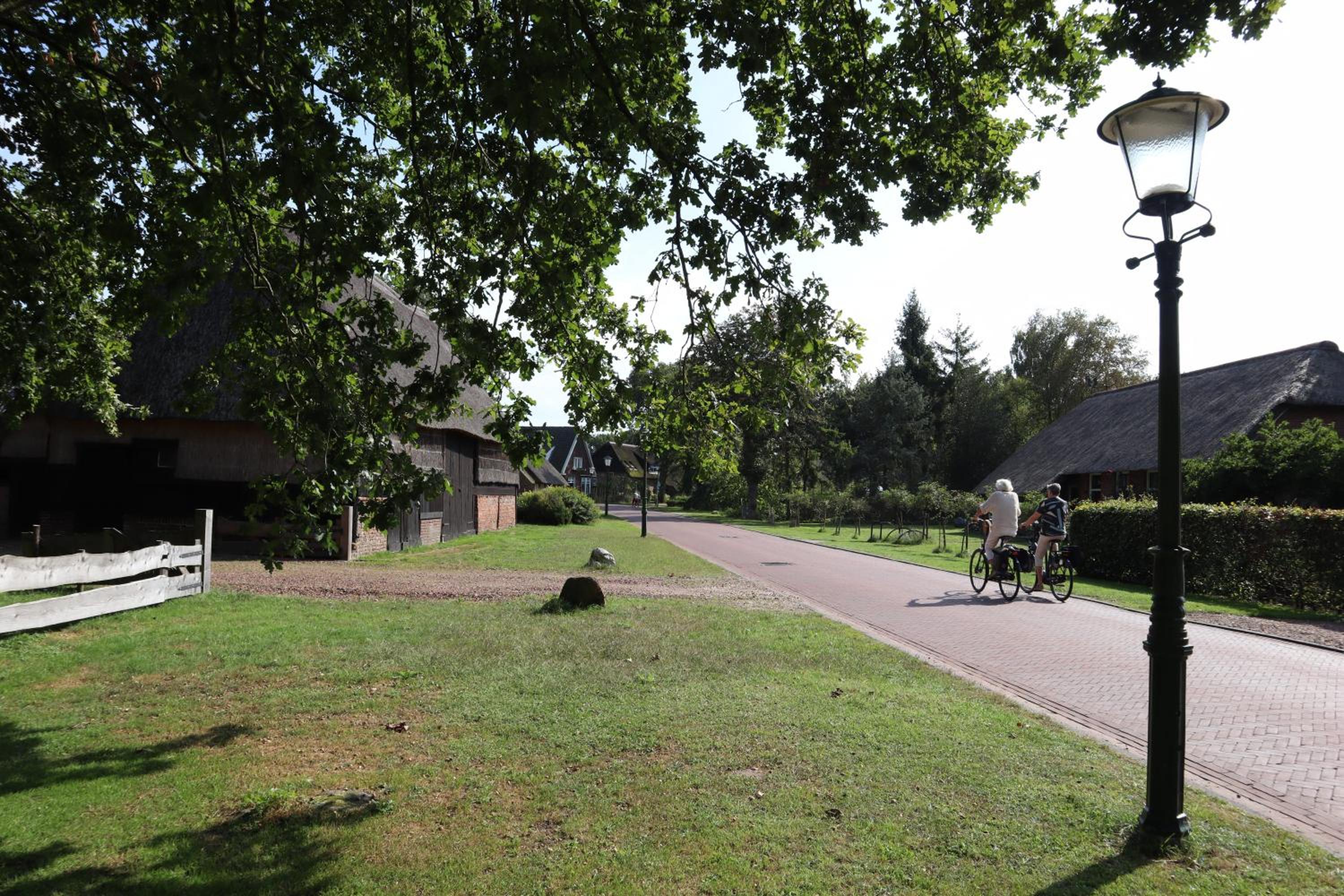 Photo 48