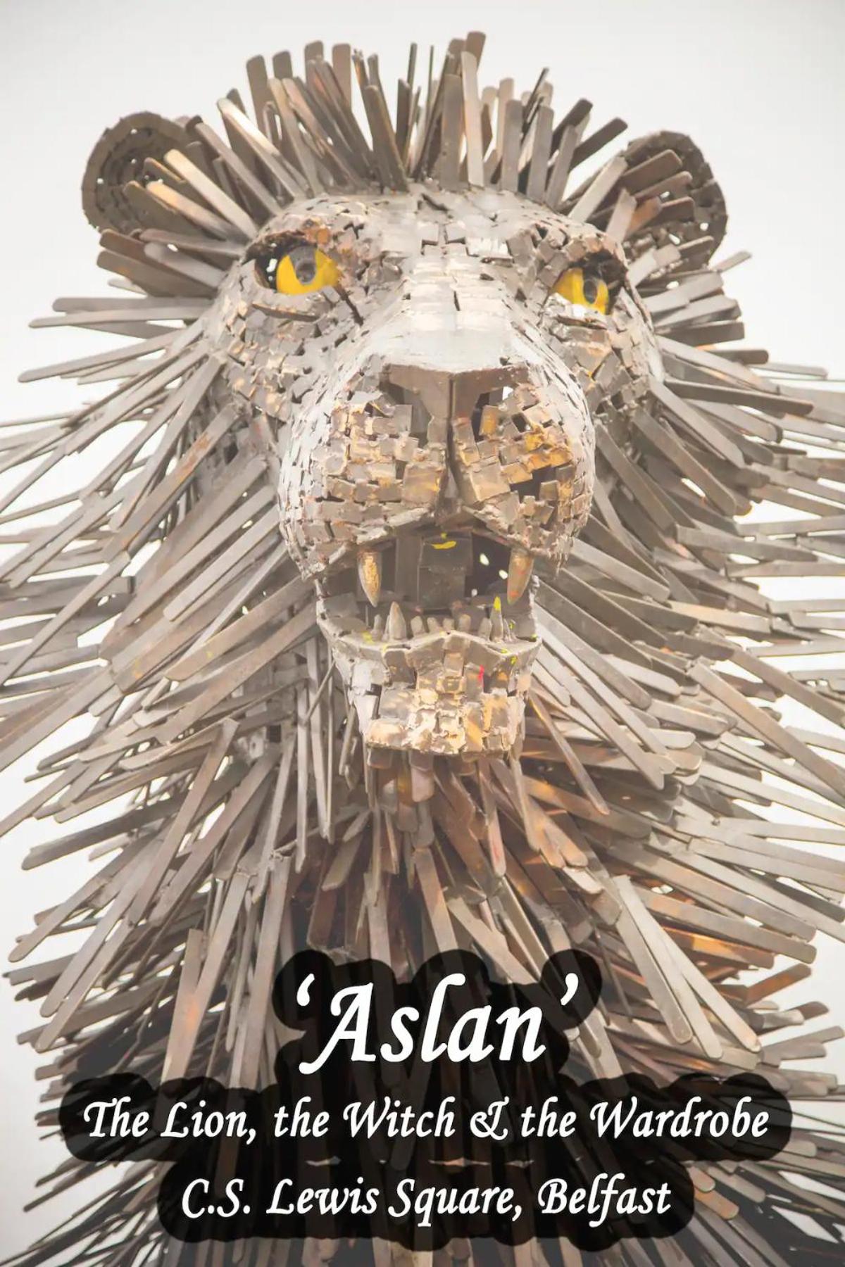 Belfast Vacations - Kings Lodge One Bed Apartment - Property Image 6