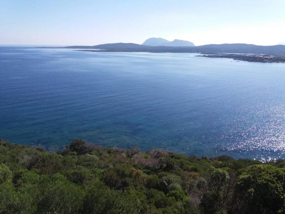 Monolocale con piscina condominiale vista mare view 4