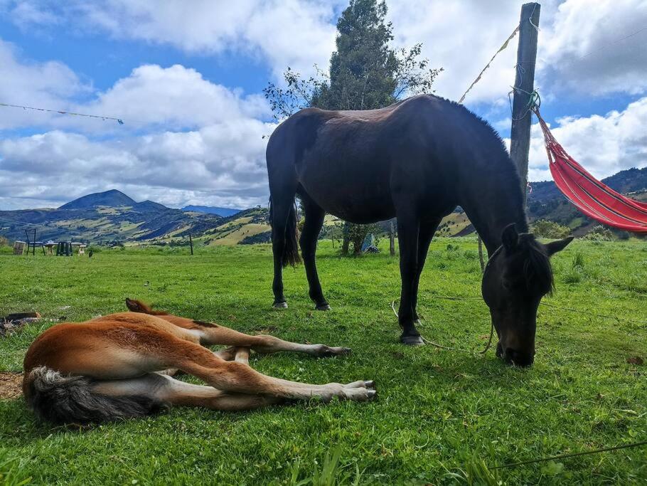 Yinkana Casa Campestre