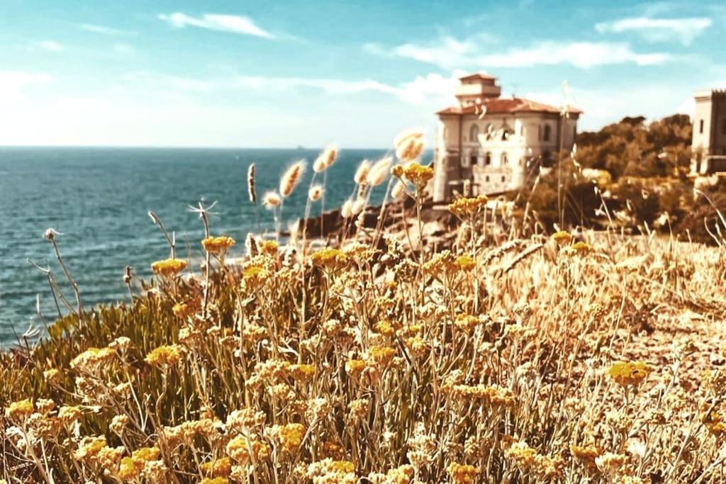 La Casina di Isola view 2