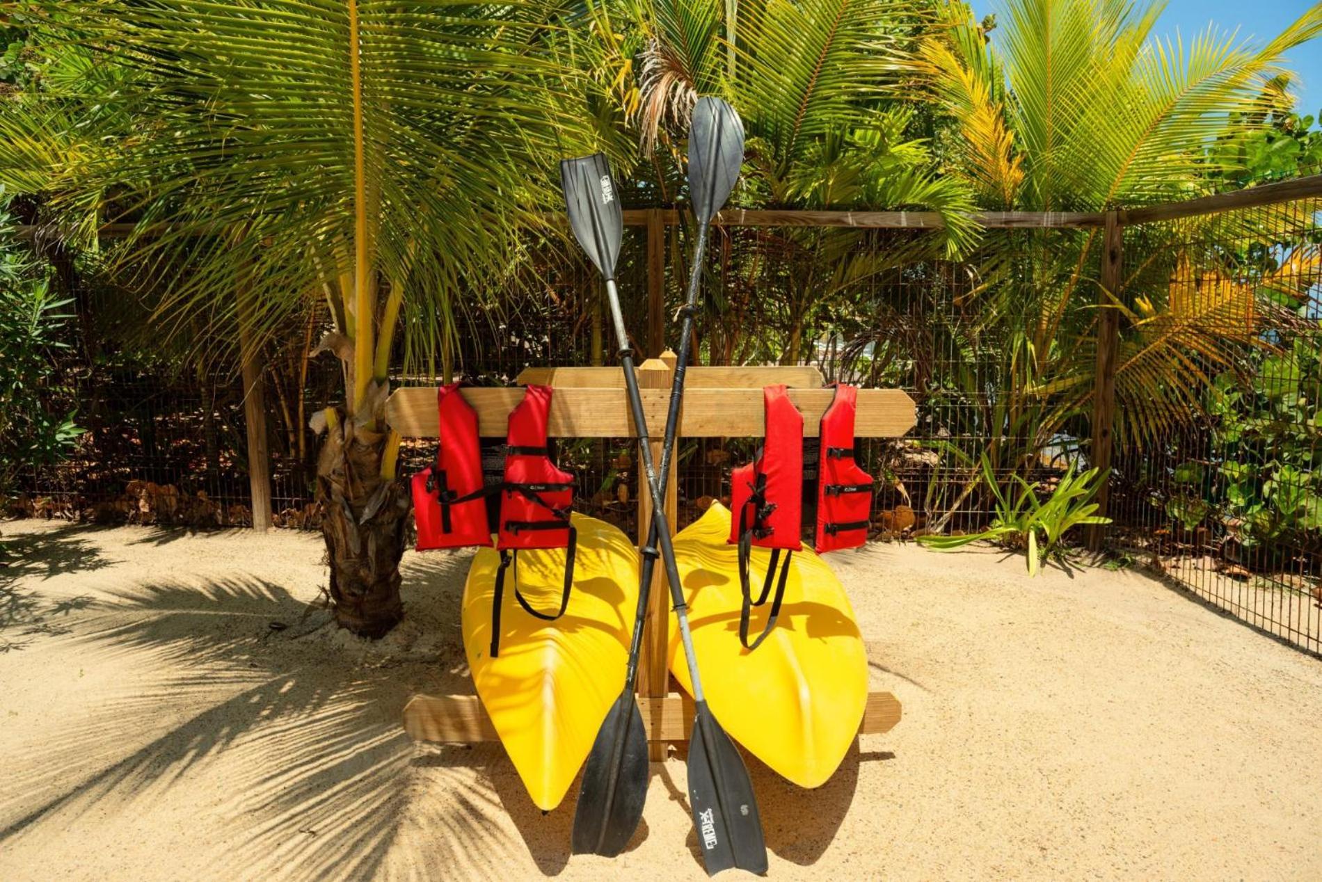 Surfside Gecko - Large Oceanfront Villa with Pool Close to Village