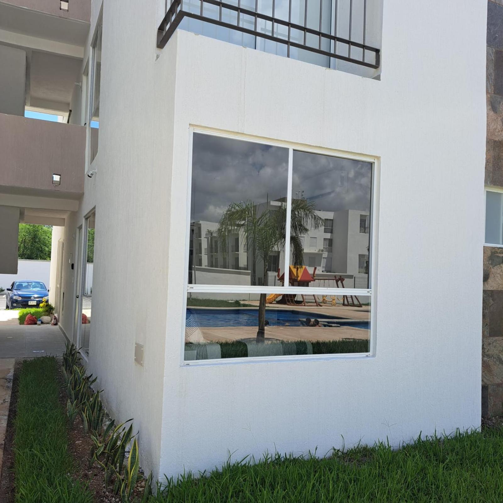 Palma Bambu. view 2