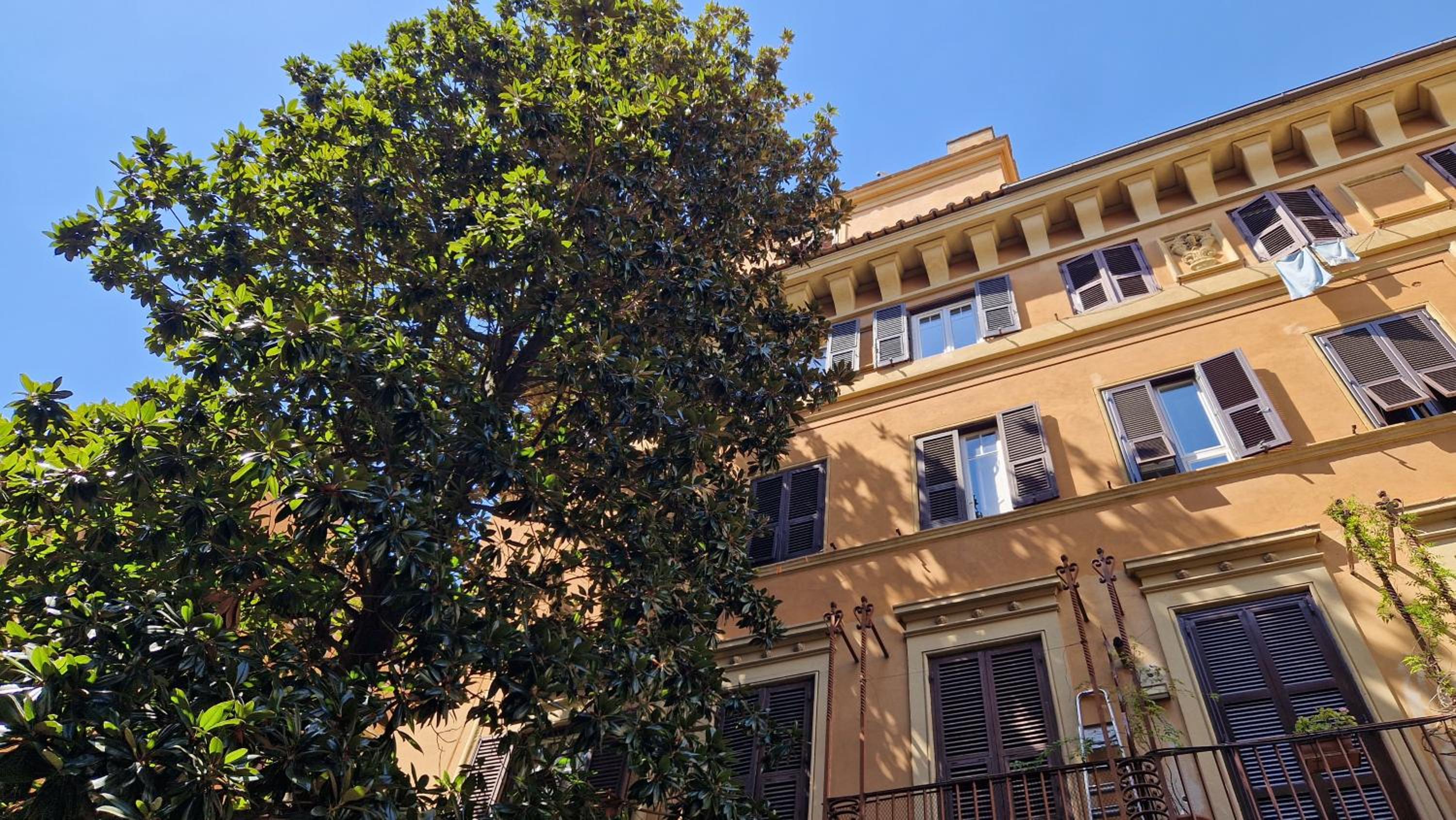 Borghese Magnolia Suite