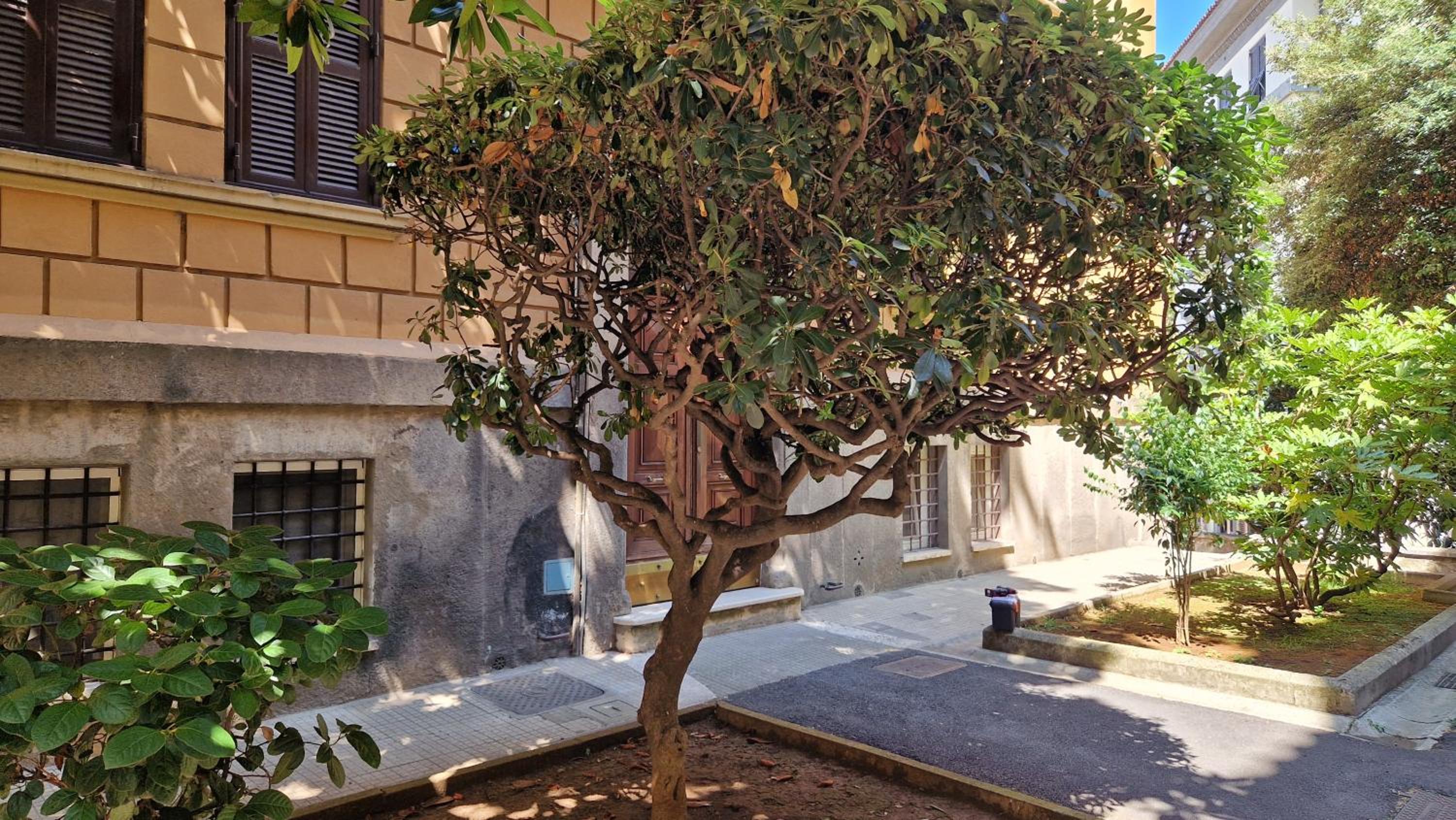 Borghese Magnolia Suite