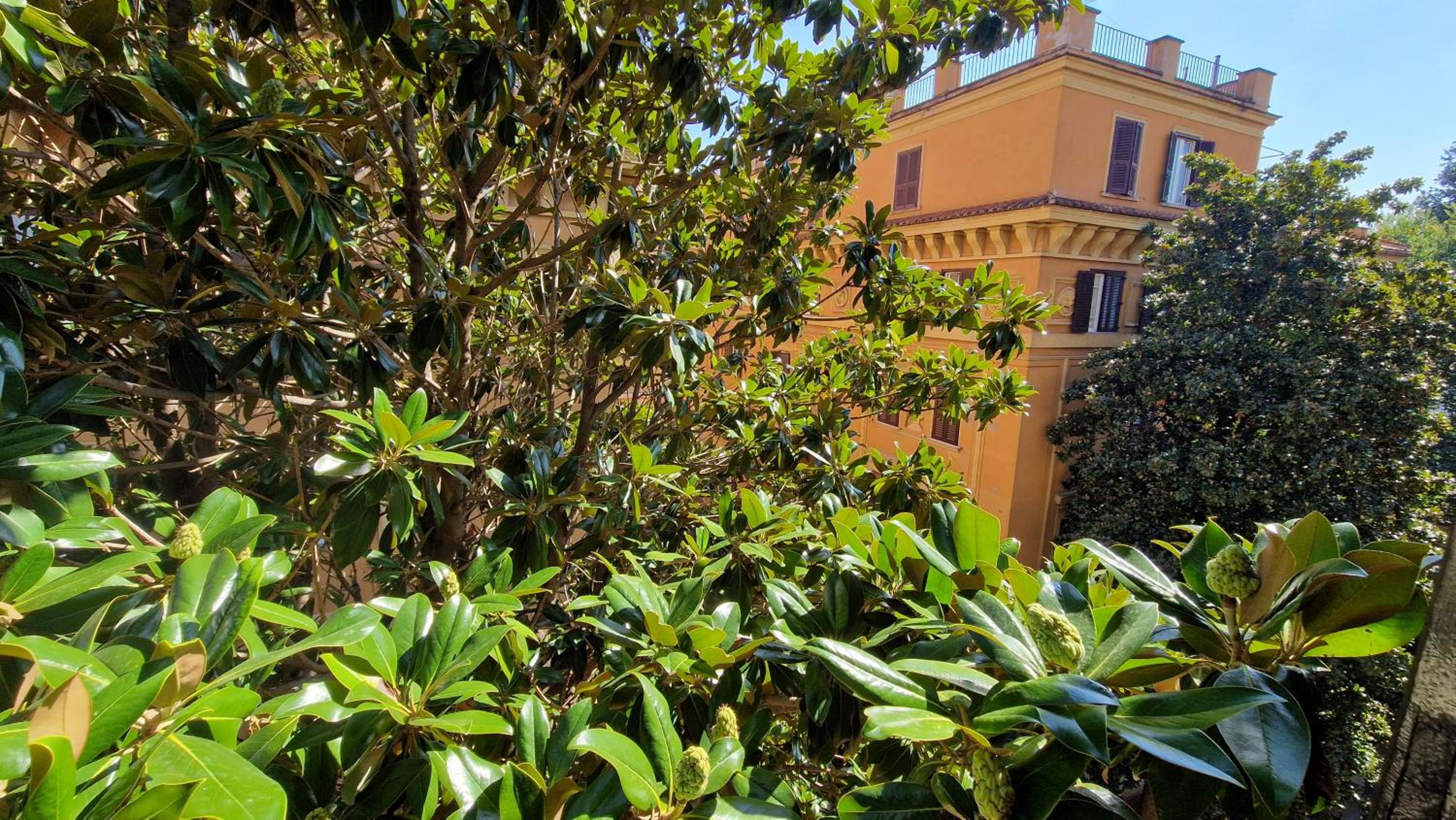 Borghese Magnolia Suite
