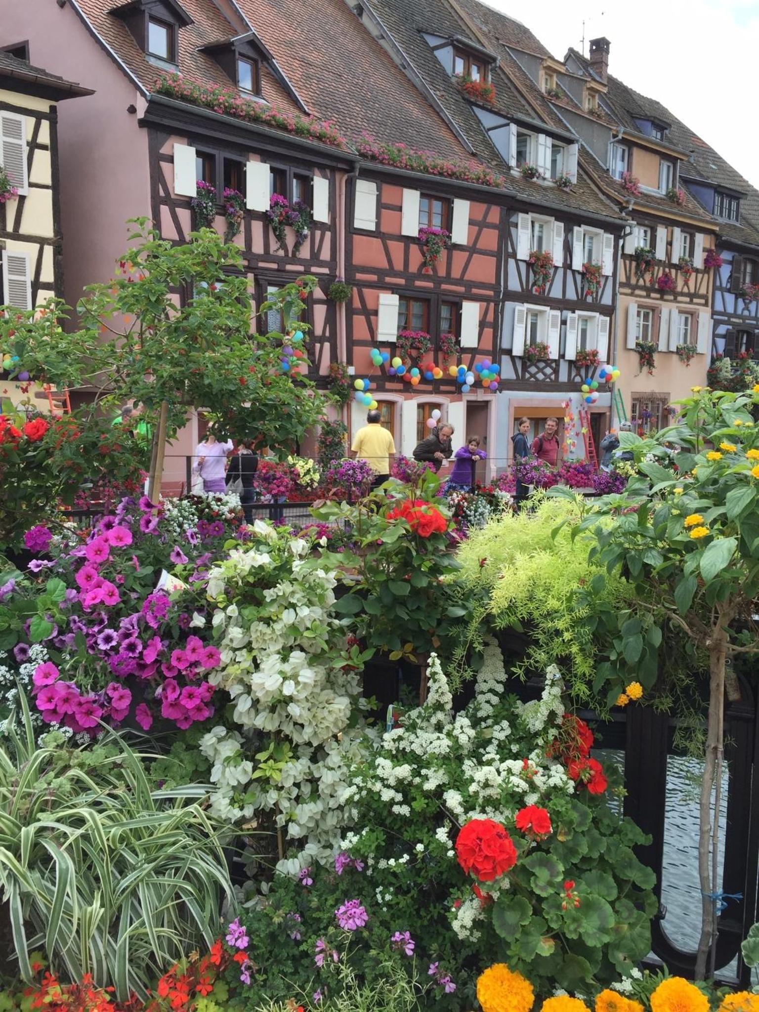 Les Appartements de Home Petite Venise, photo 25