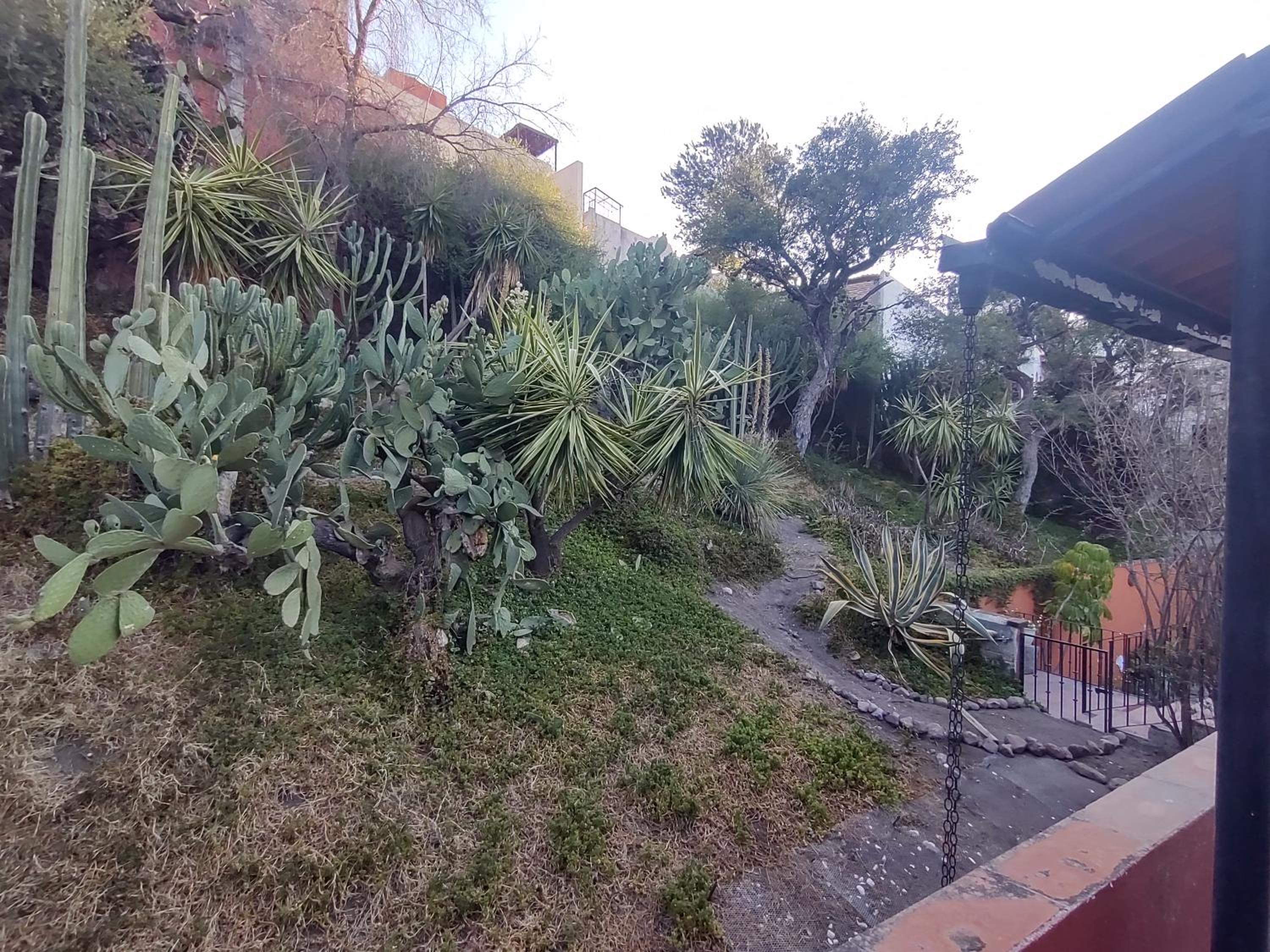Photo 20