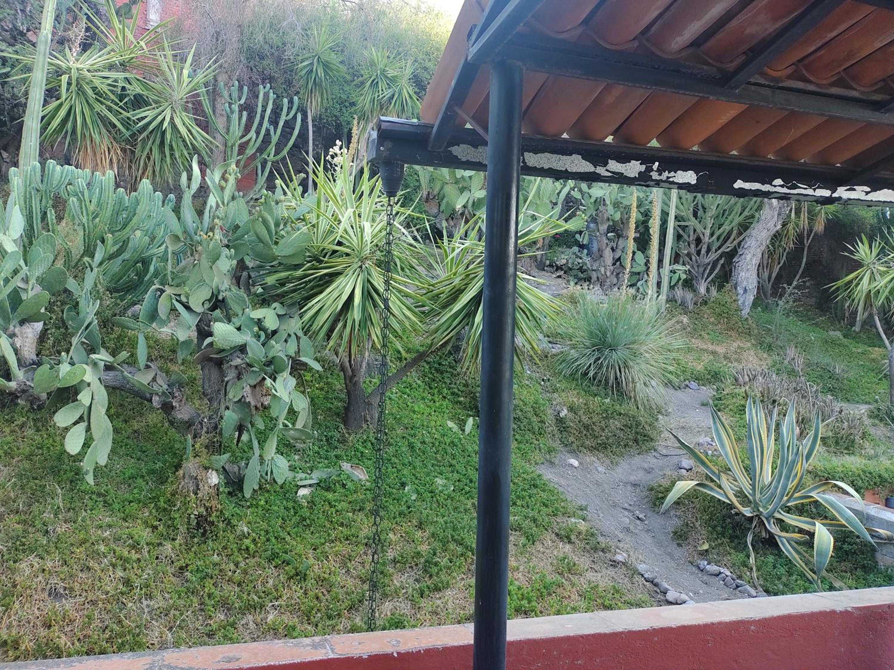 Photo 21