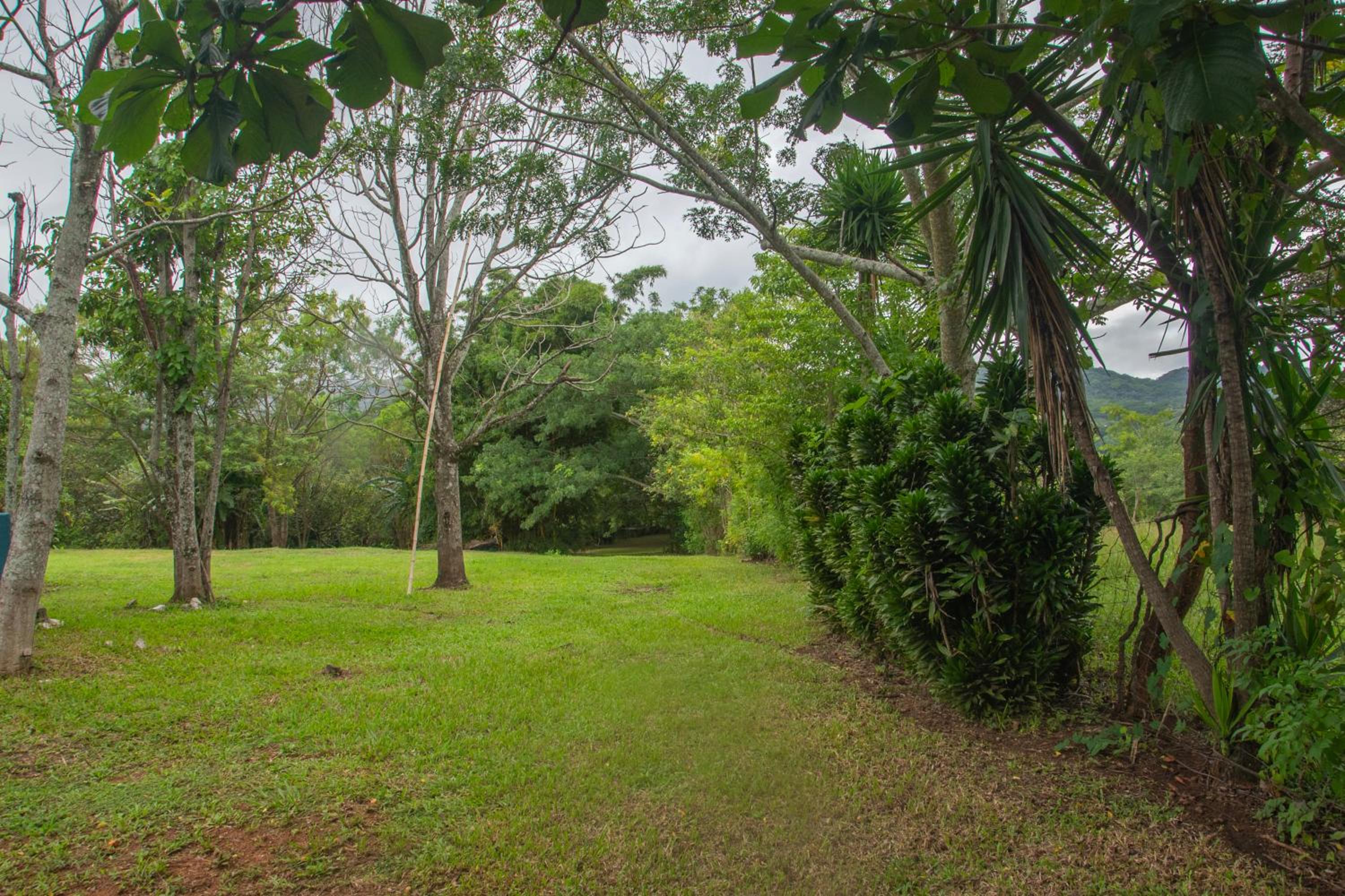 Organic Garden