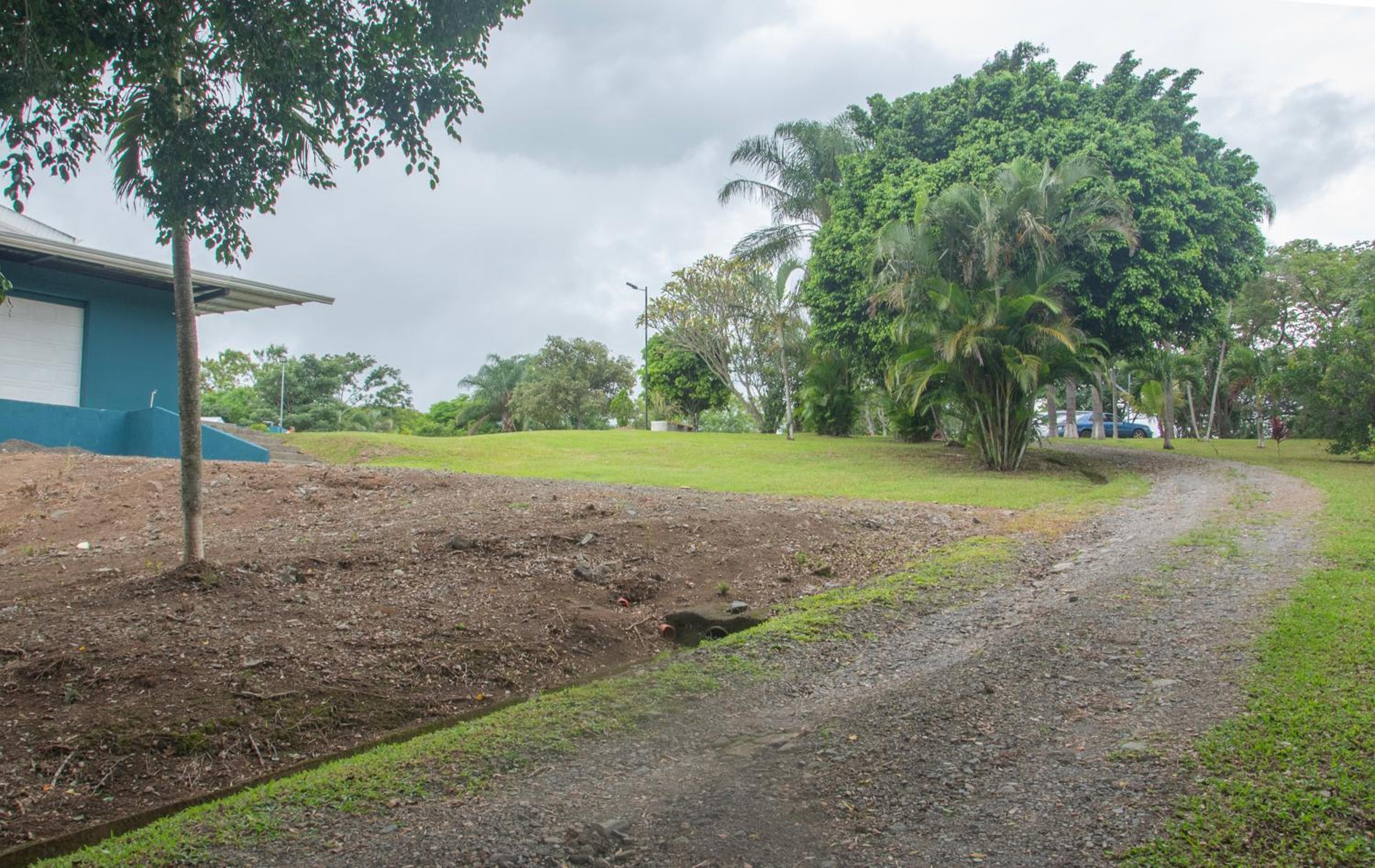 Organic Garden