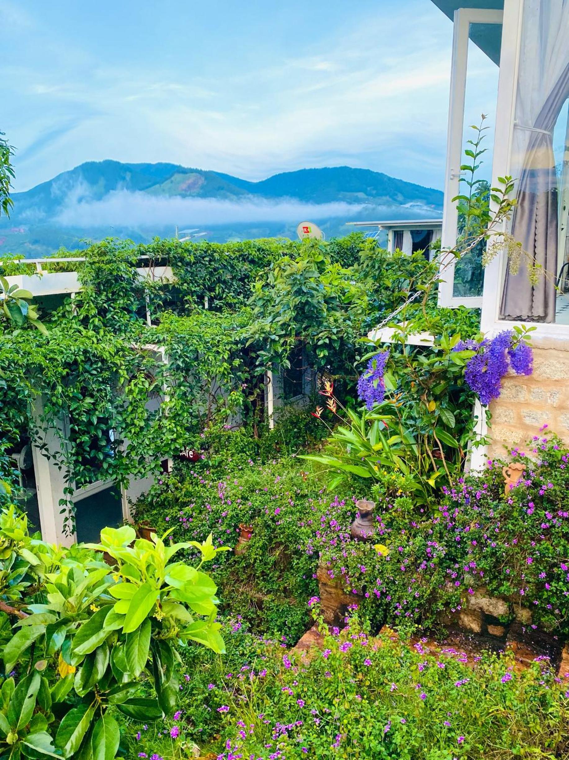 Nacasoo hill view 5