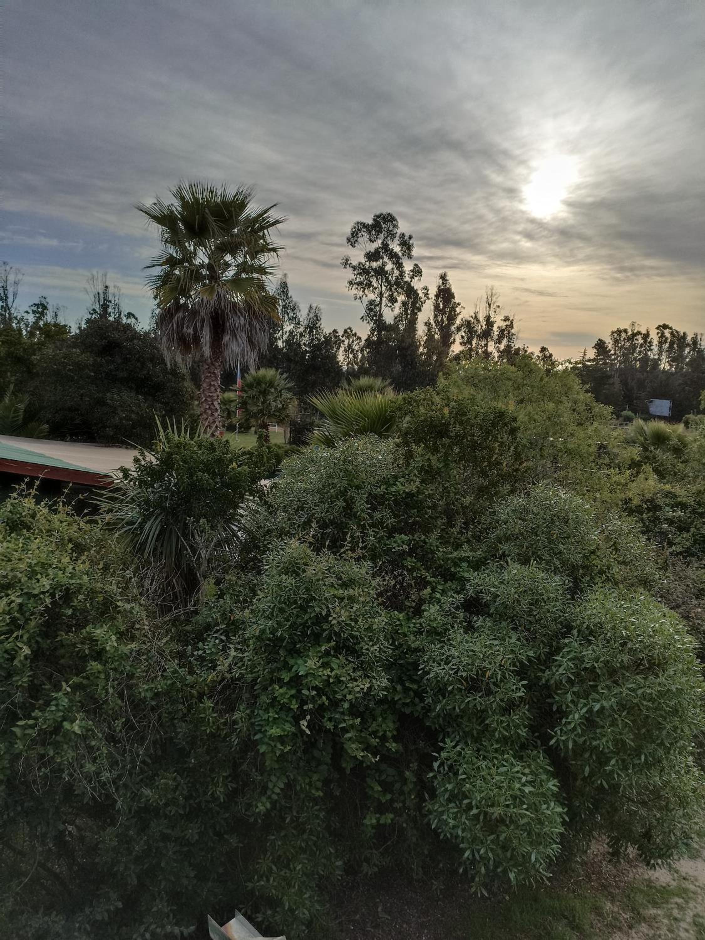La Querencia de Algarrobo