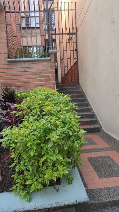 Comfy Apartment Downtown in Medellín
