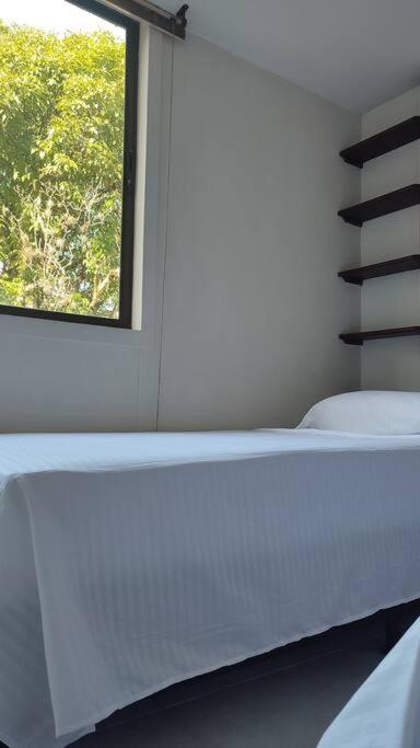 Comfy Apartment Downtown in Medellín