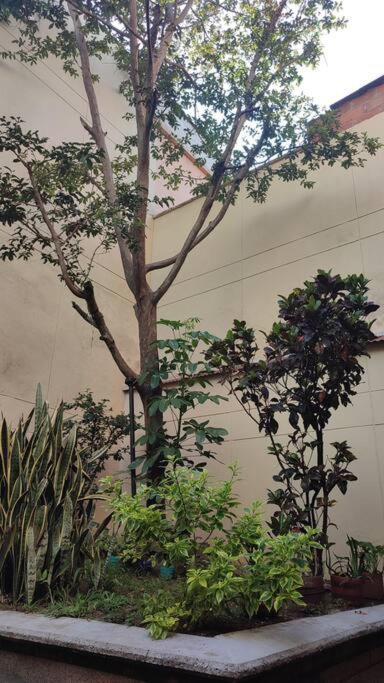 Comfy Apartment Downtown in Medellín