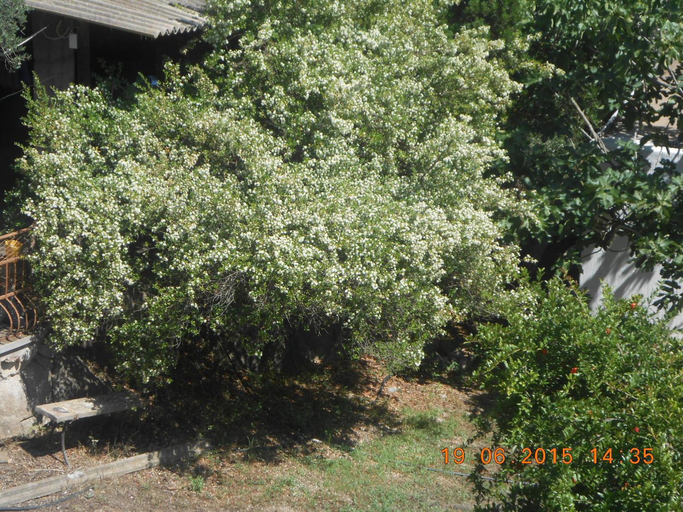 Photo 55