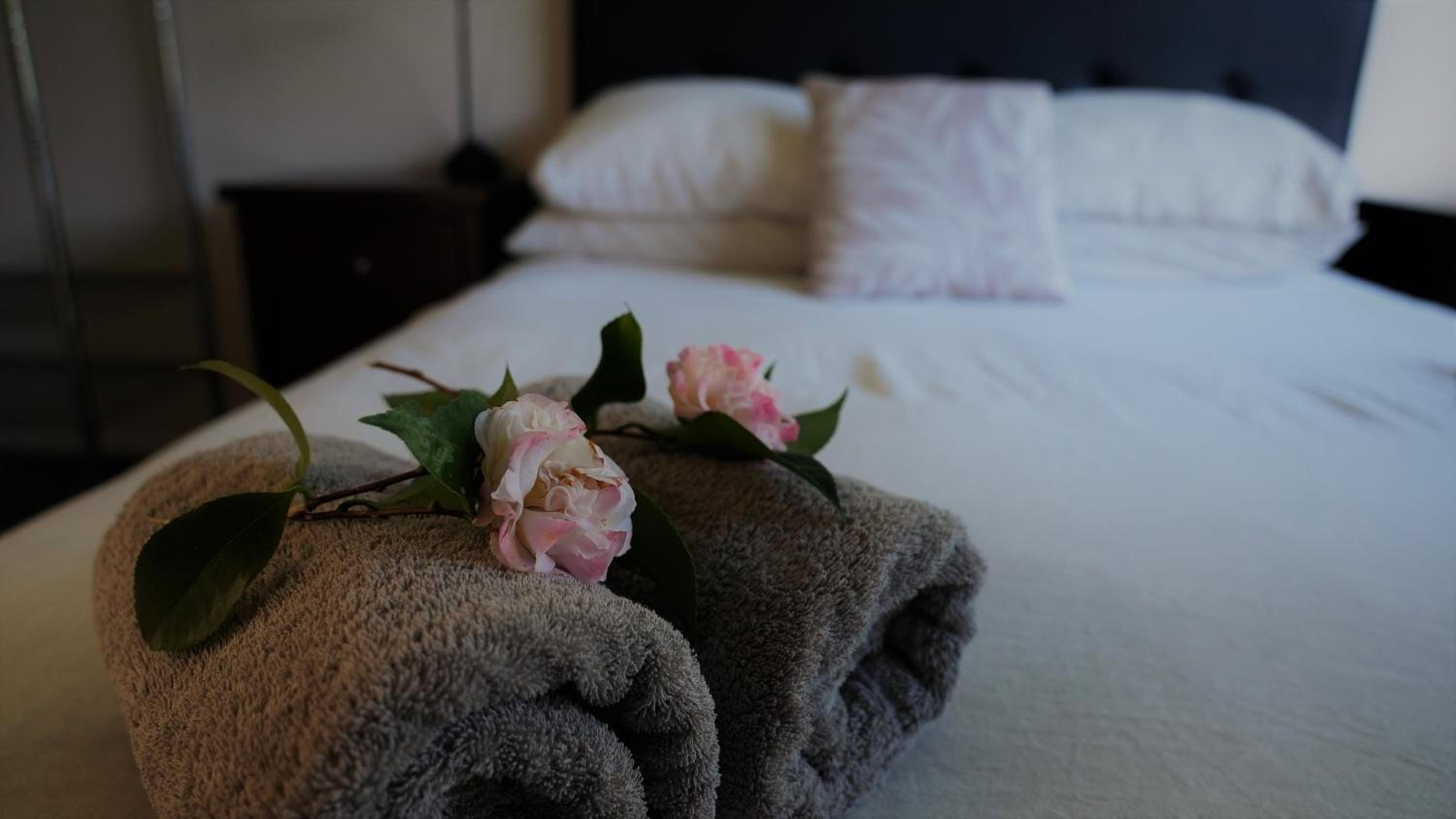 Karaka Bay Lodge