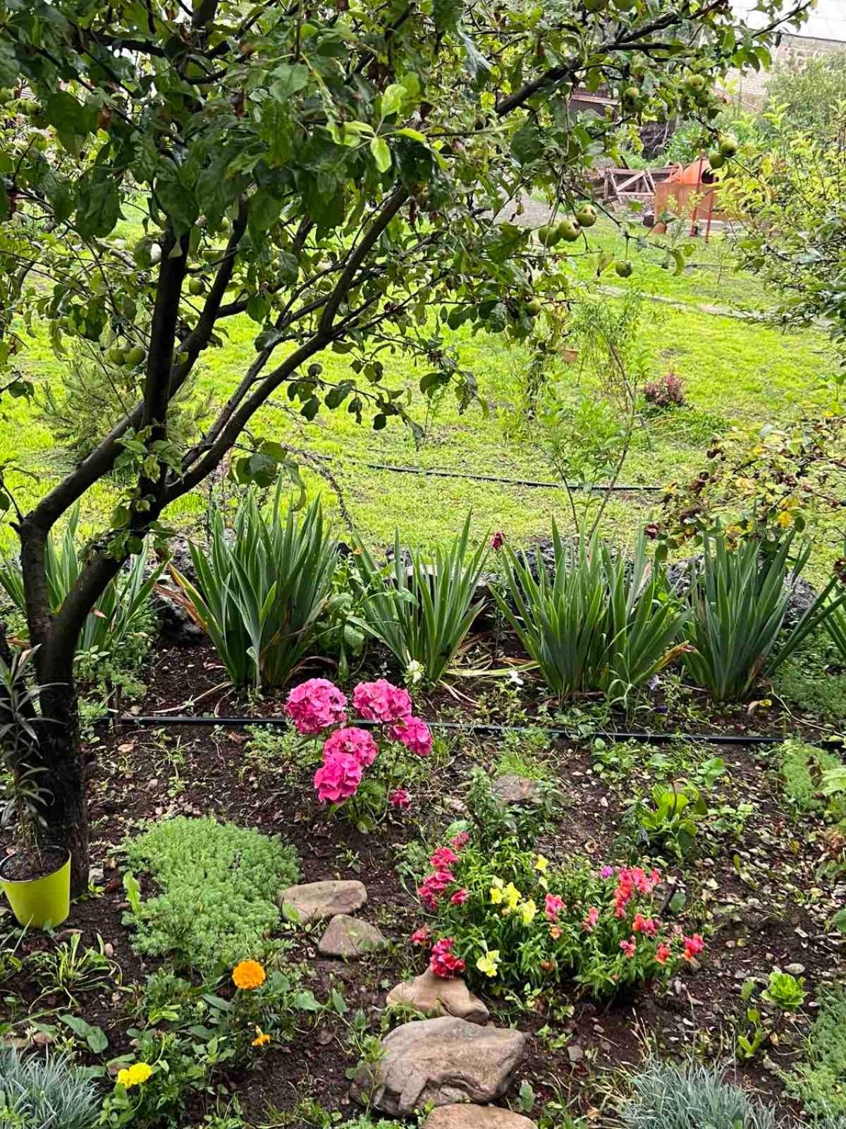 Green Agarak Guest House near Dendropark, Stepanavan
