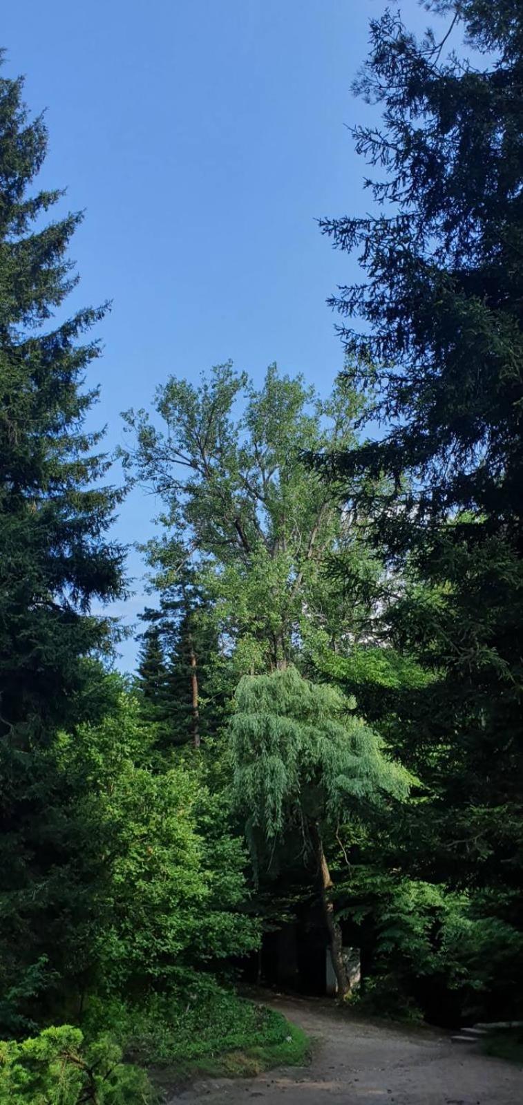 Green Agarak Guest House near Dendropark, Stepanavan