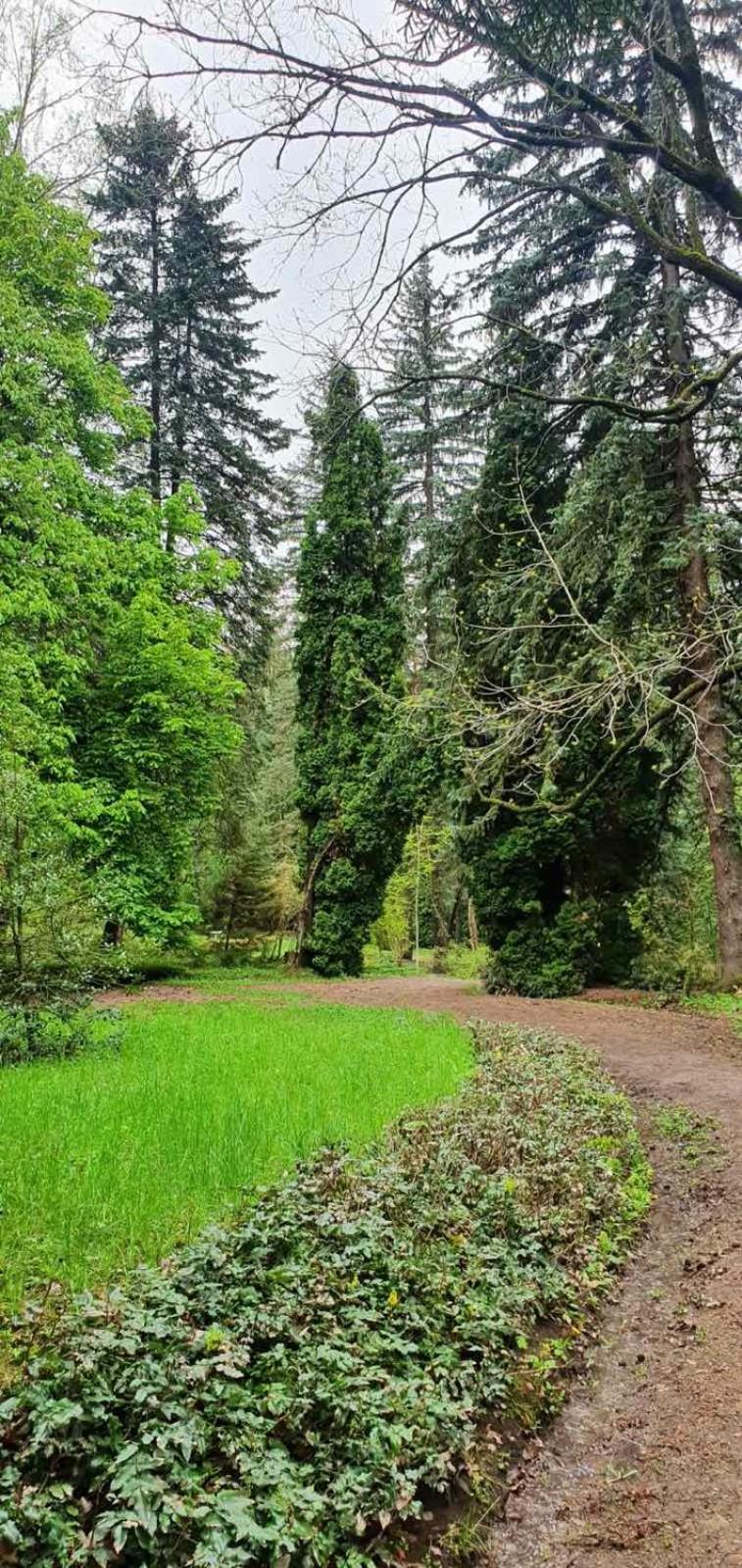 Green Agarak Guest House near Dendropark, Stepanavan