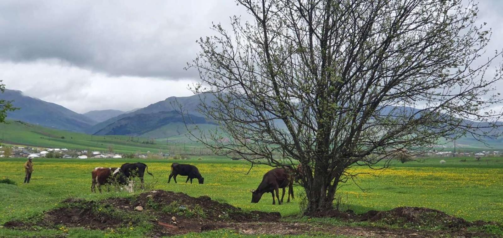 Green Agarak Guest House near Dendropark, Stepanavan