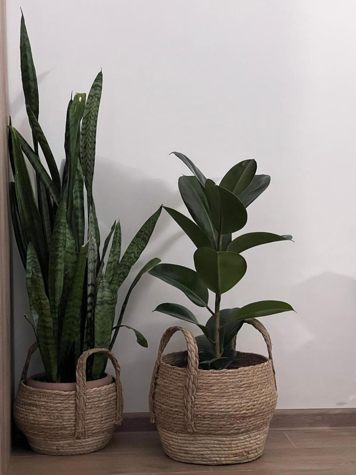 Green Agarak Guest House near Dendropark, Stepanavan