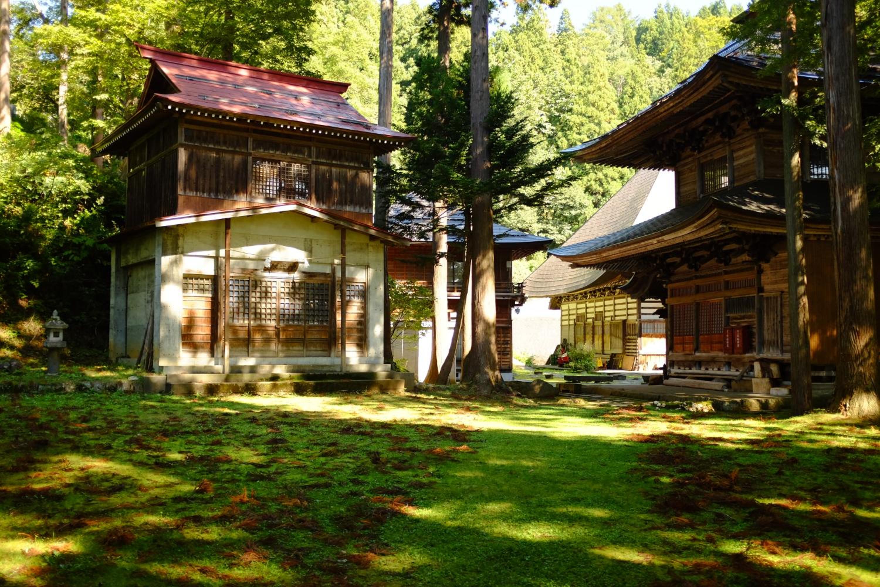 Sakura