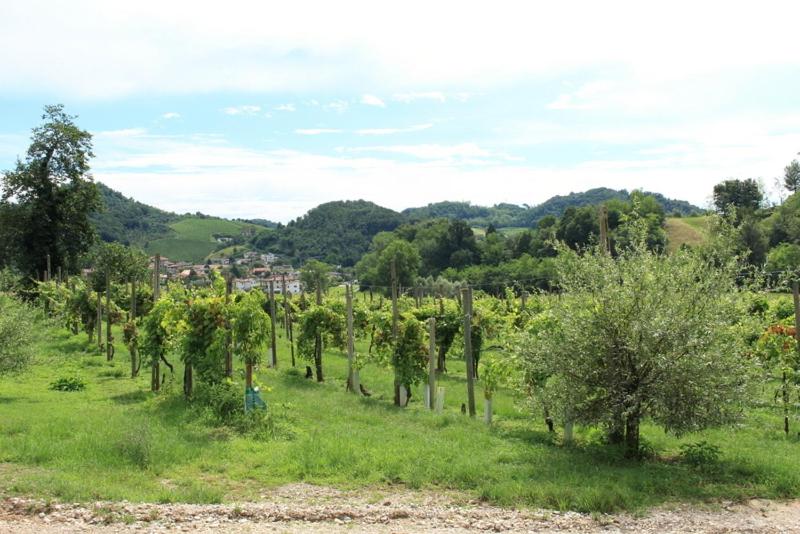 Agriturismo Mazzeracca view 5