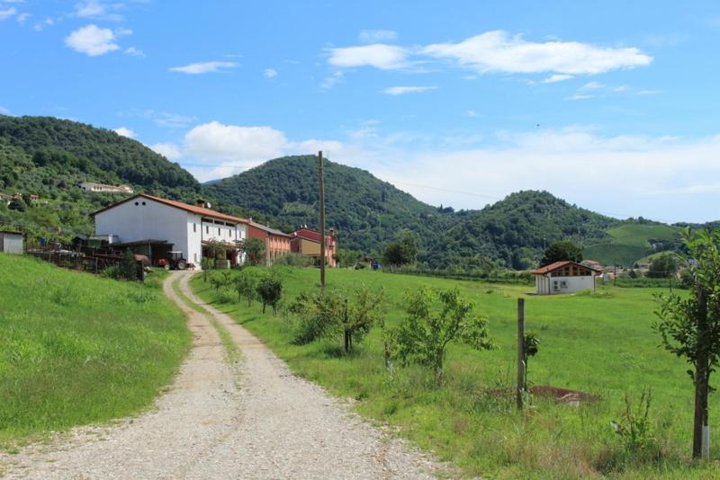Agriturismo Mazzeracca view 3