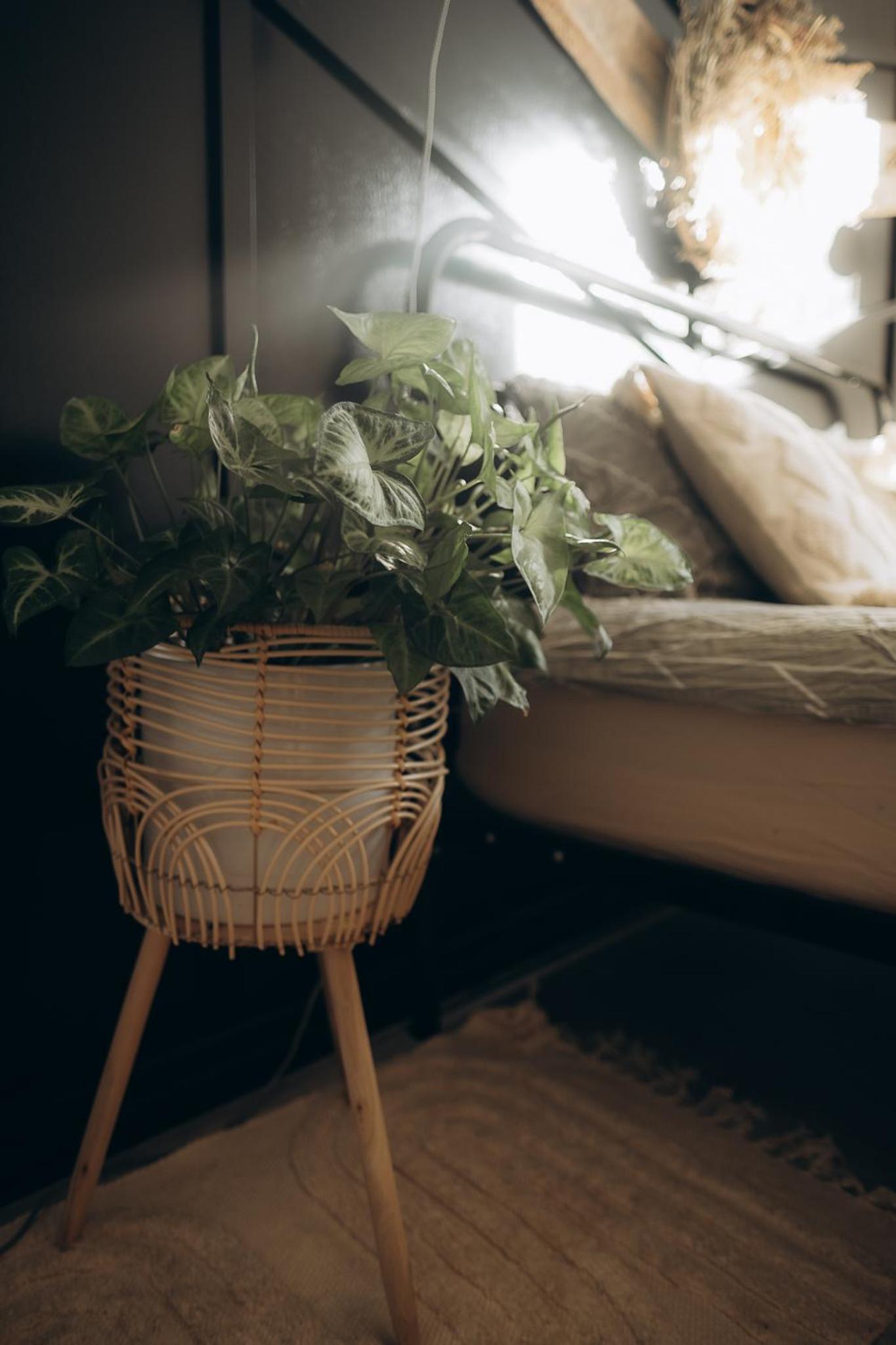 Greenspot - Loft with 2 bedrooms and free parking view 5