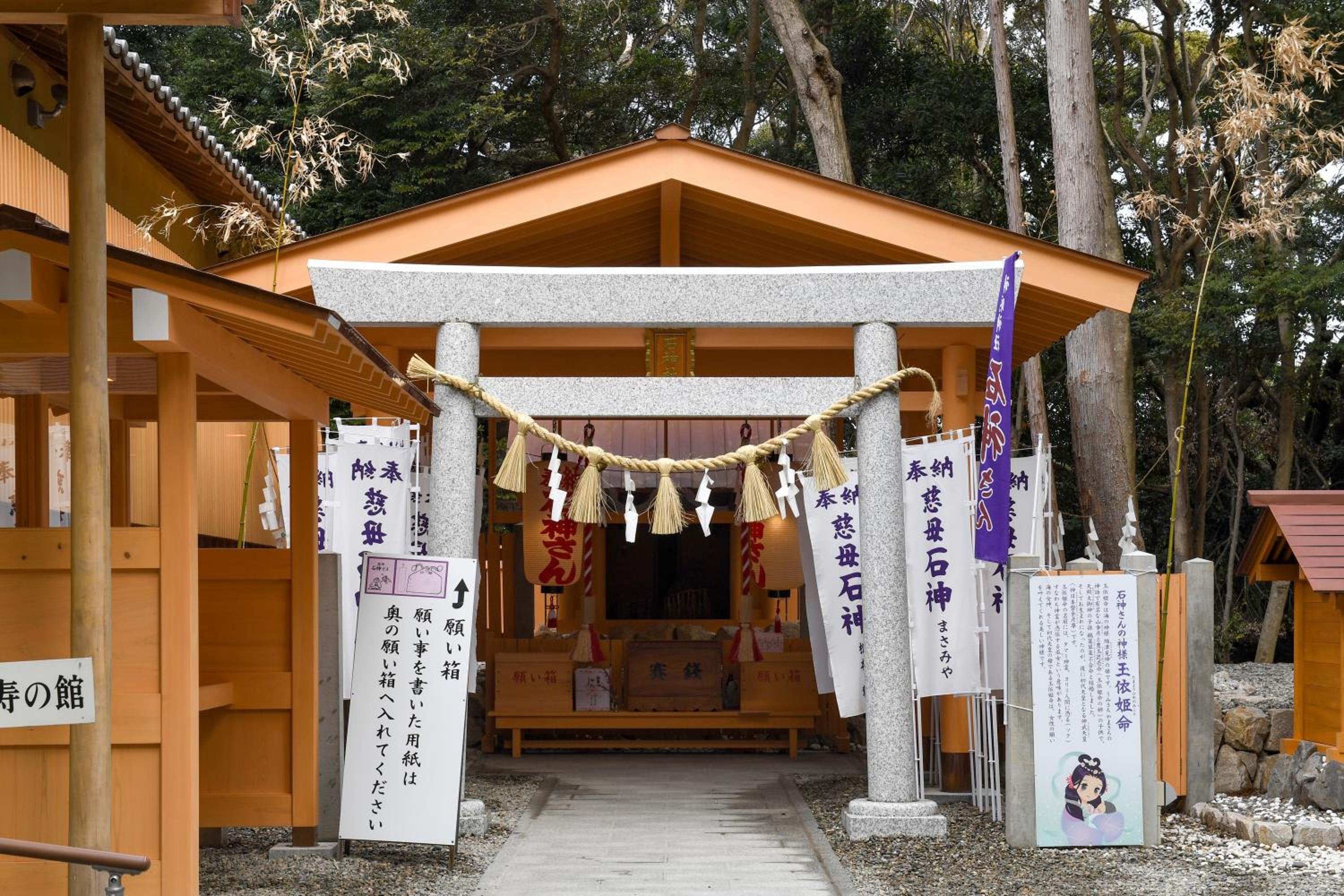 Hanatsubaki