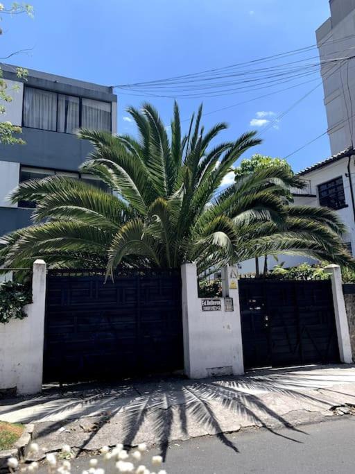 Magnifique appartement avec balcons et vues