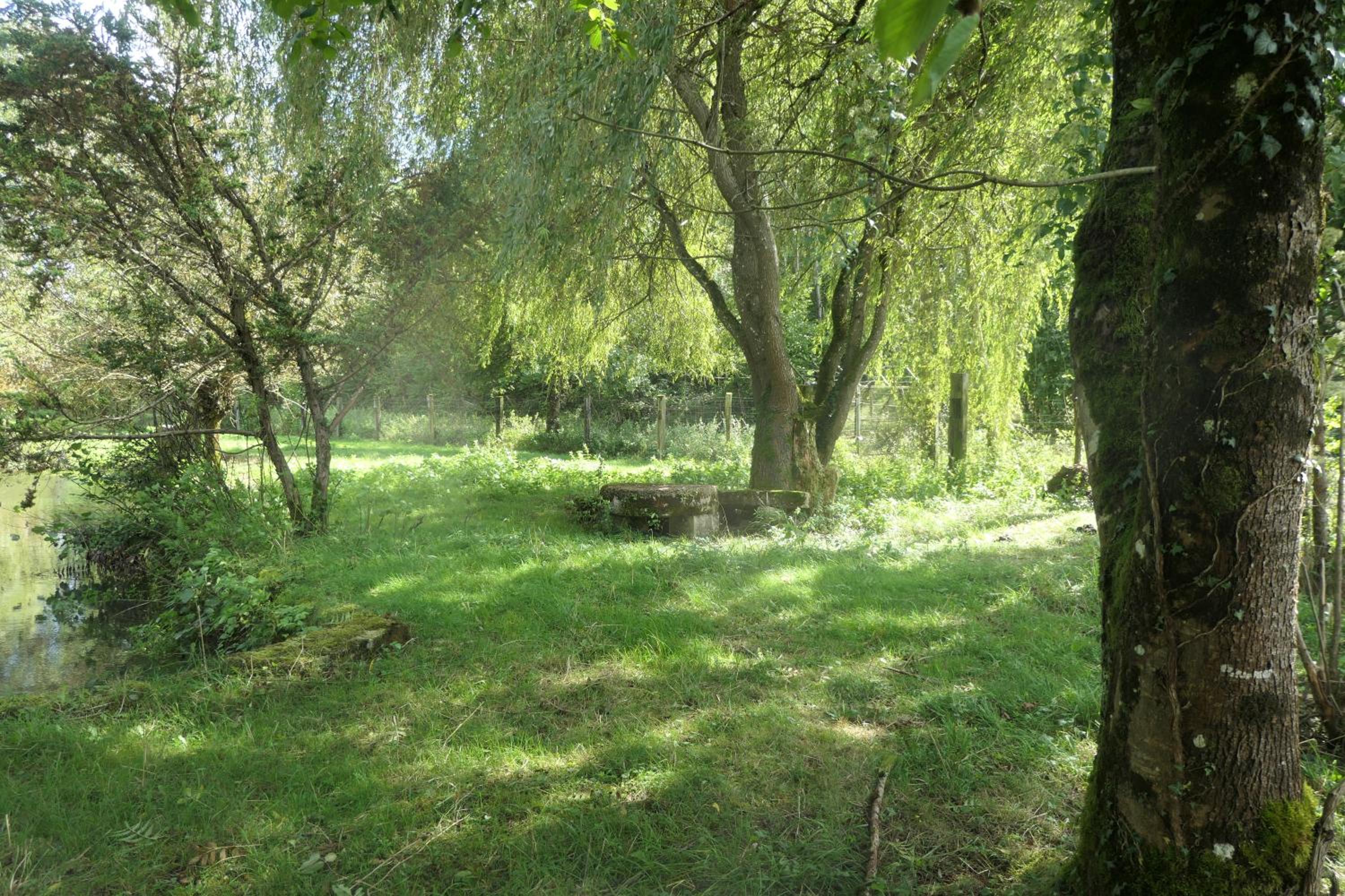 Photo 28