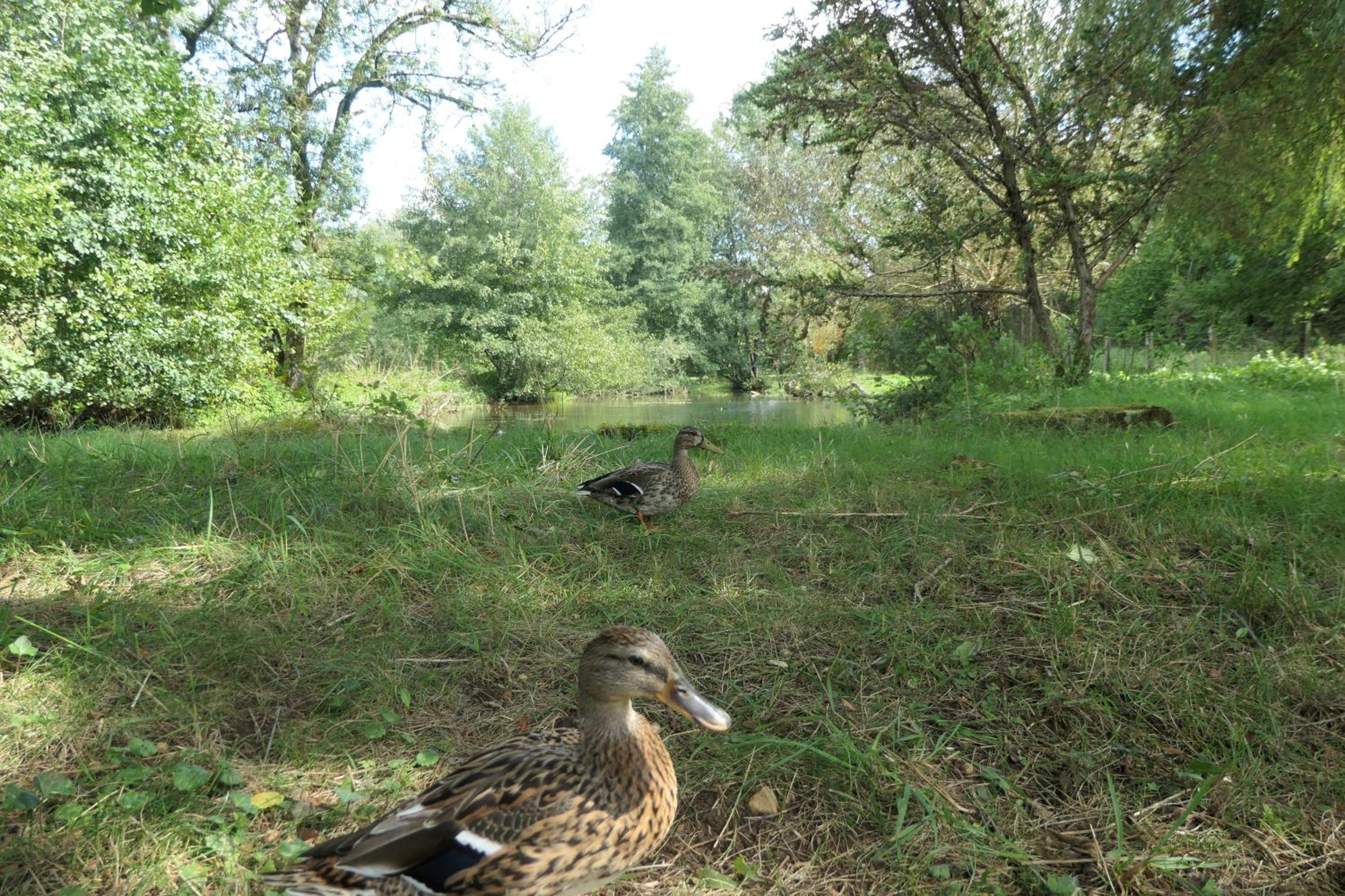 Photo 26