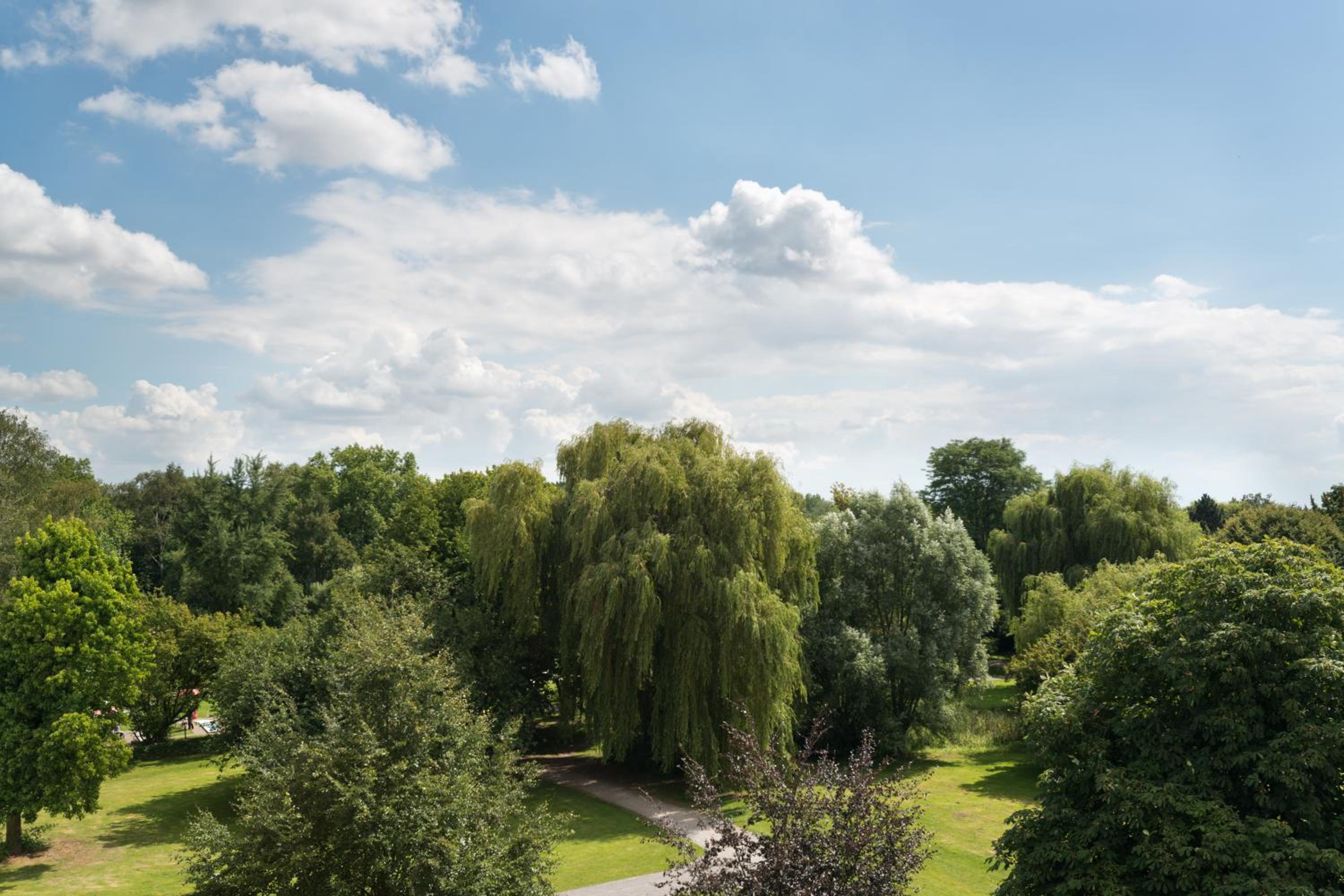 Ringhotel Am Stadtpark - Property Image 28
