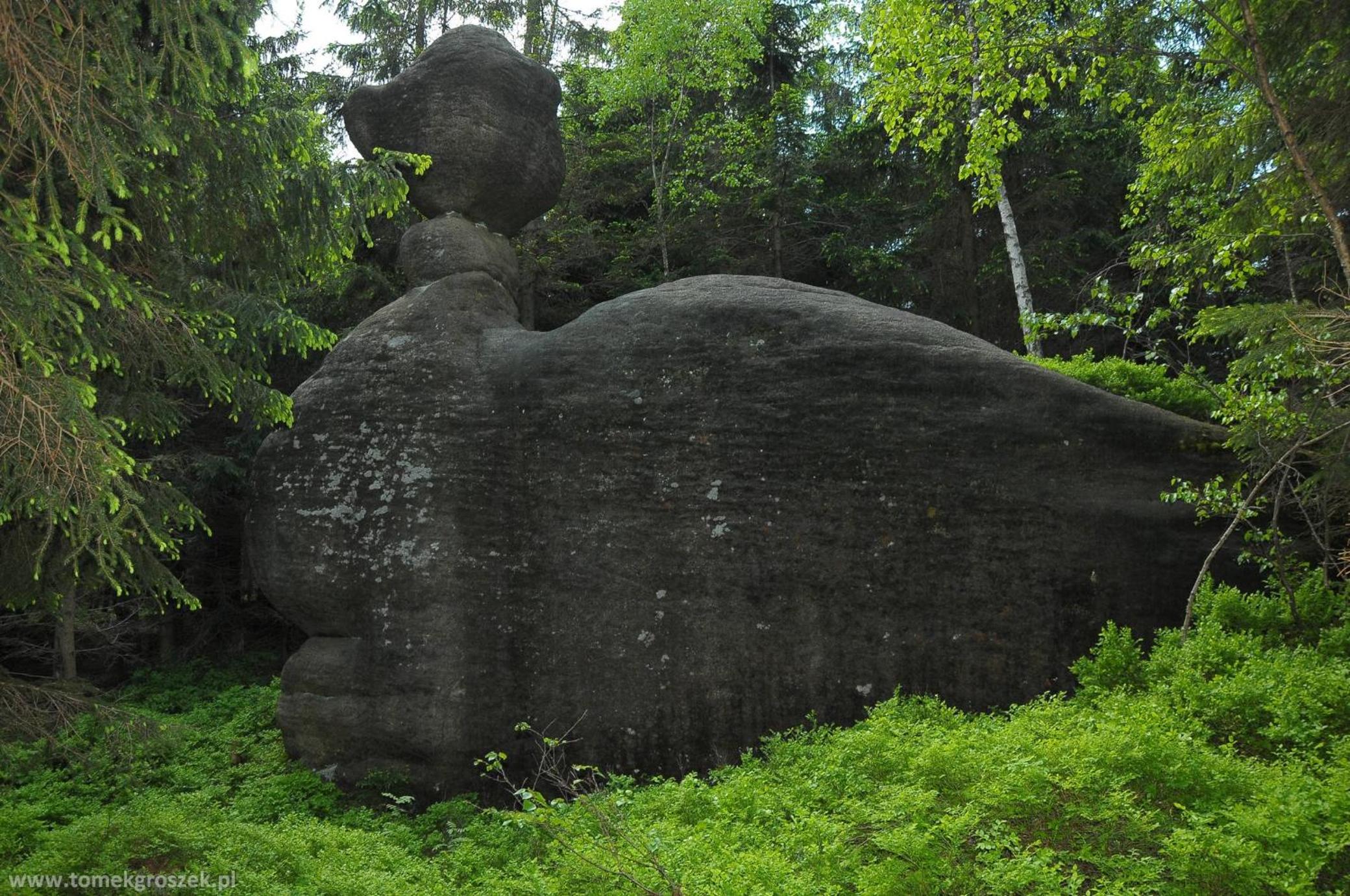 Photo 19