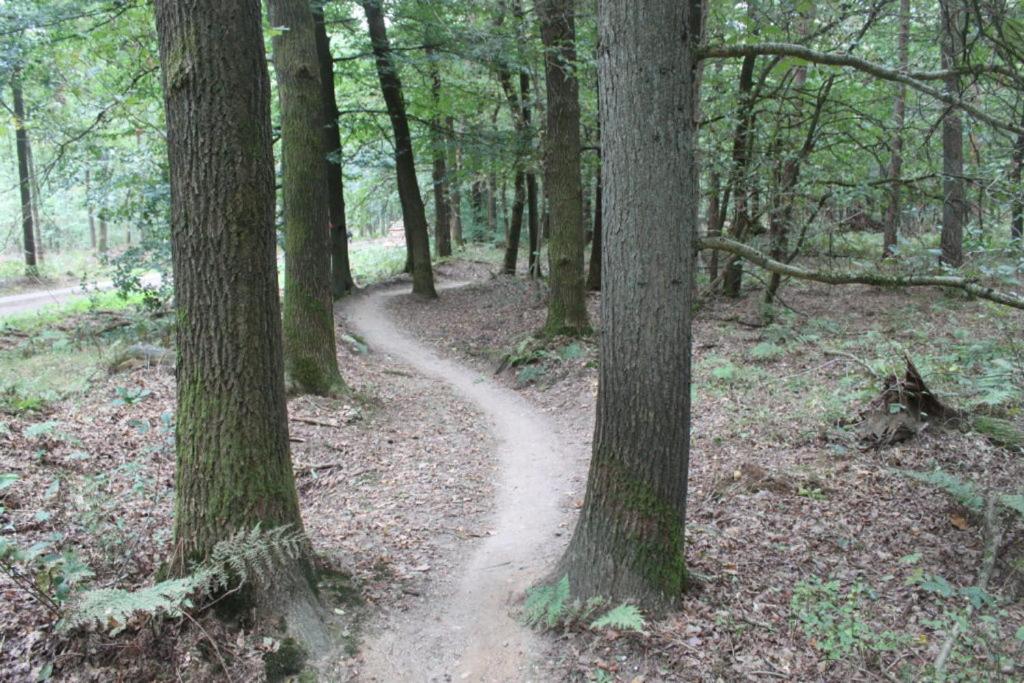 Photo 42