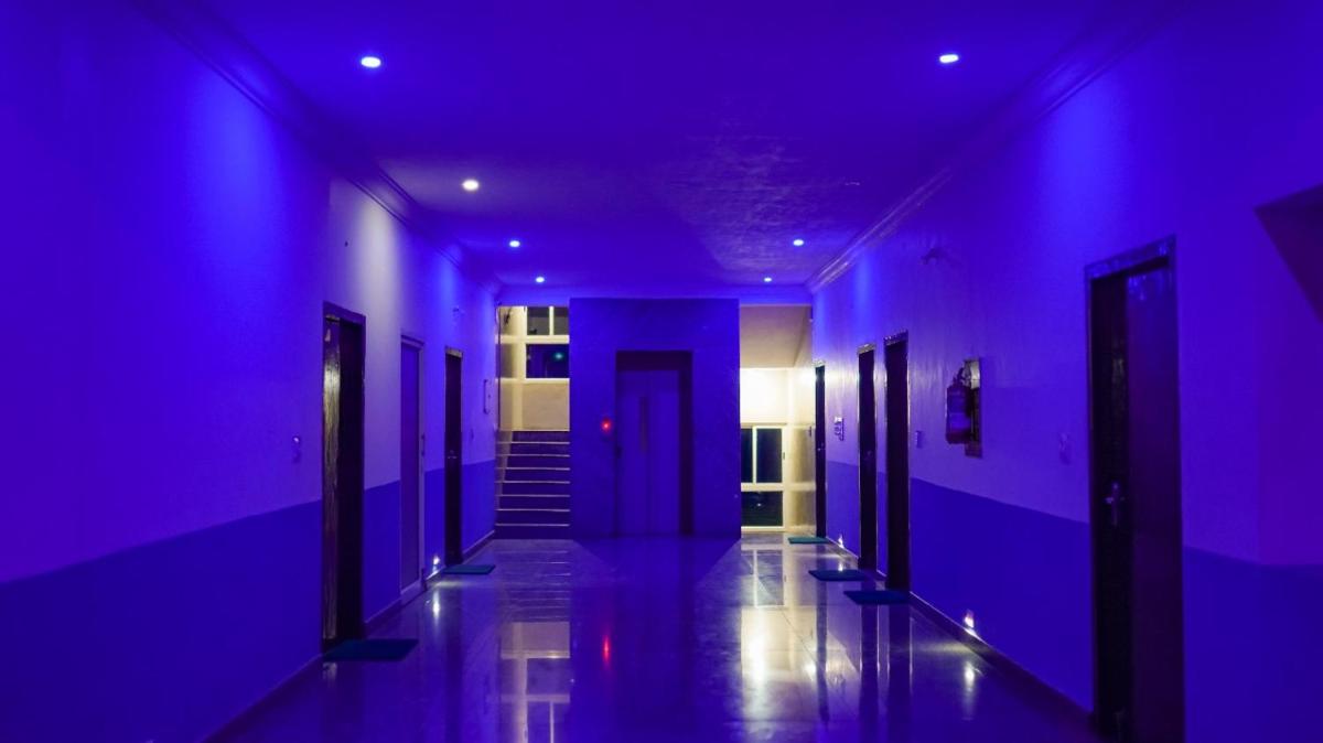 Photo 25