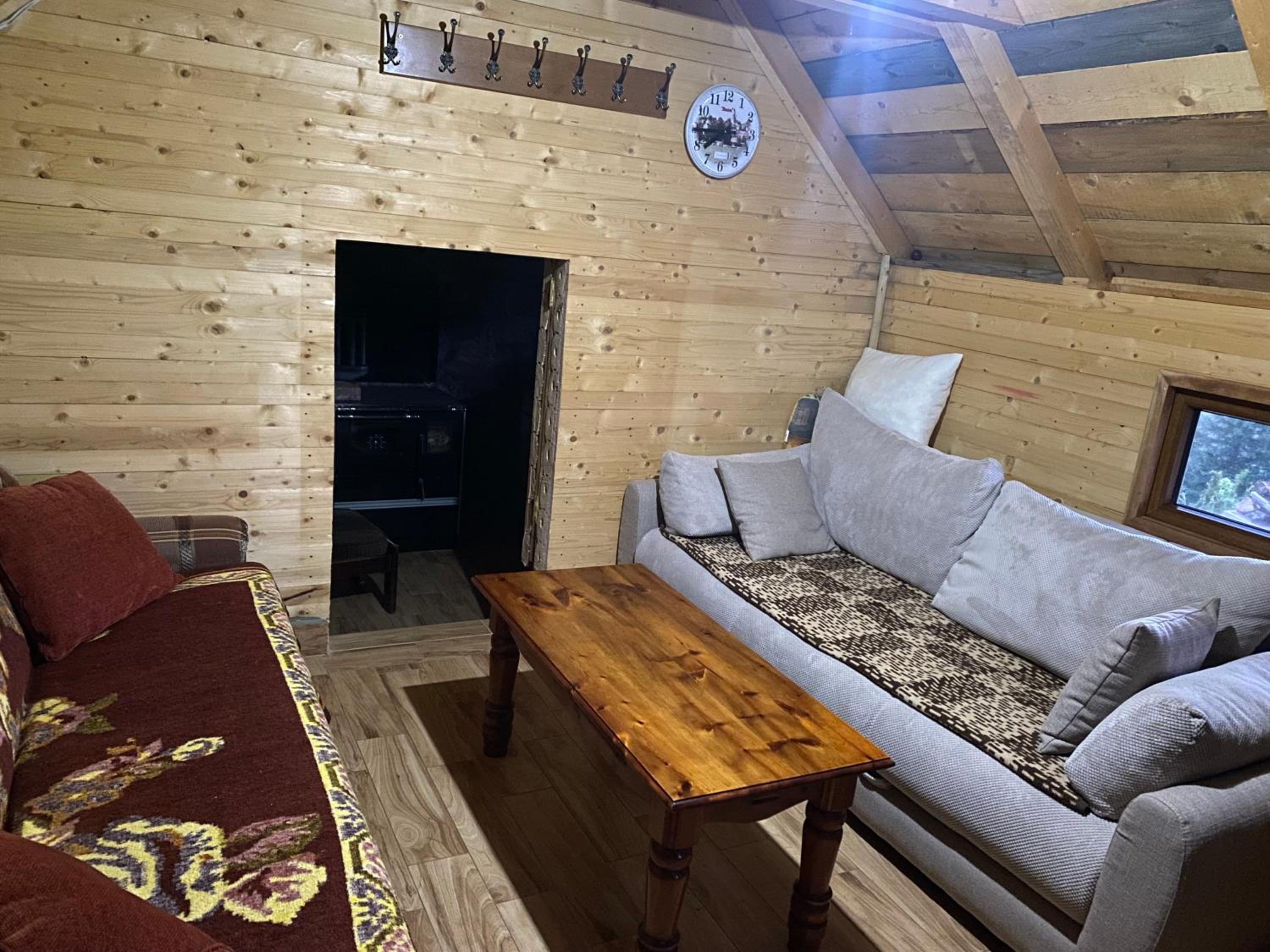 Vikendica KOLIBA NISAVIC view 4
