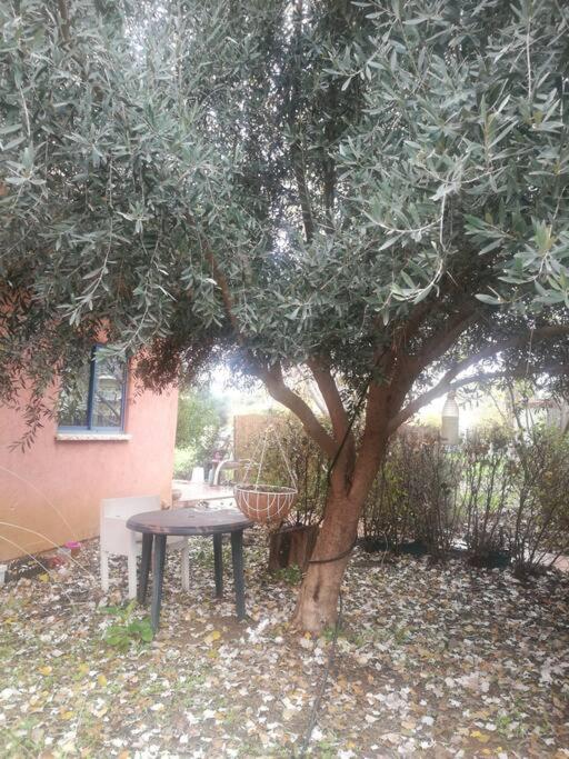 Photo 6